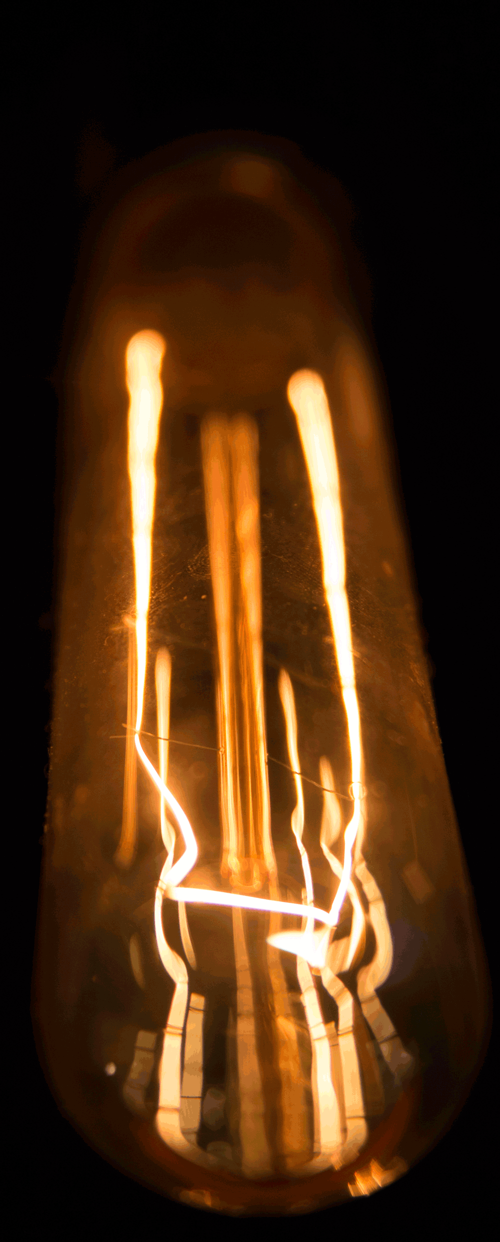 plunginglight.gif