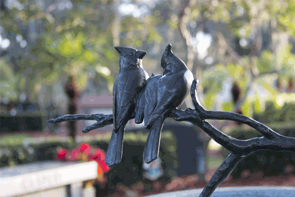 BirdBath.gif
