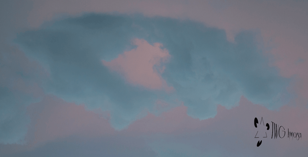 Cloud-W-Logo.gif