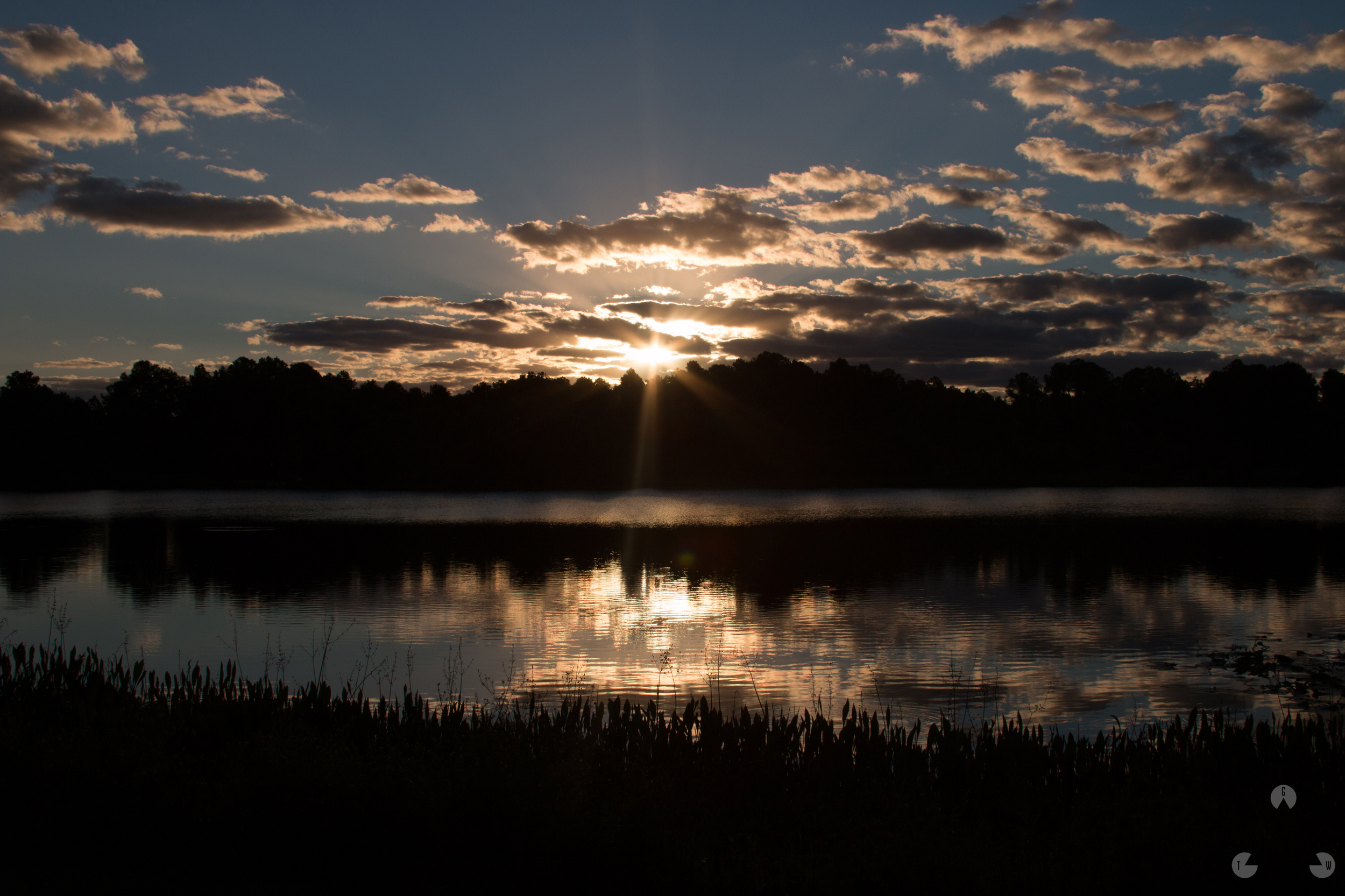 Walsingham Park - October 2014