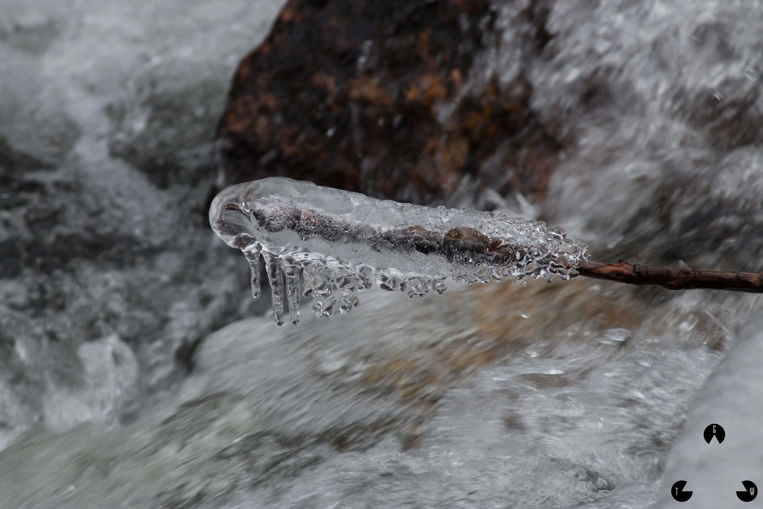 Denver_River_Ice_Small.jpg