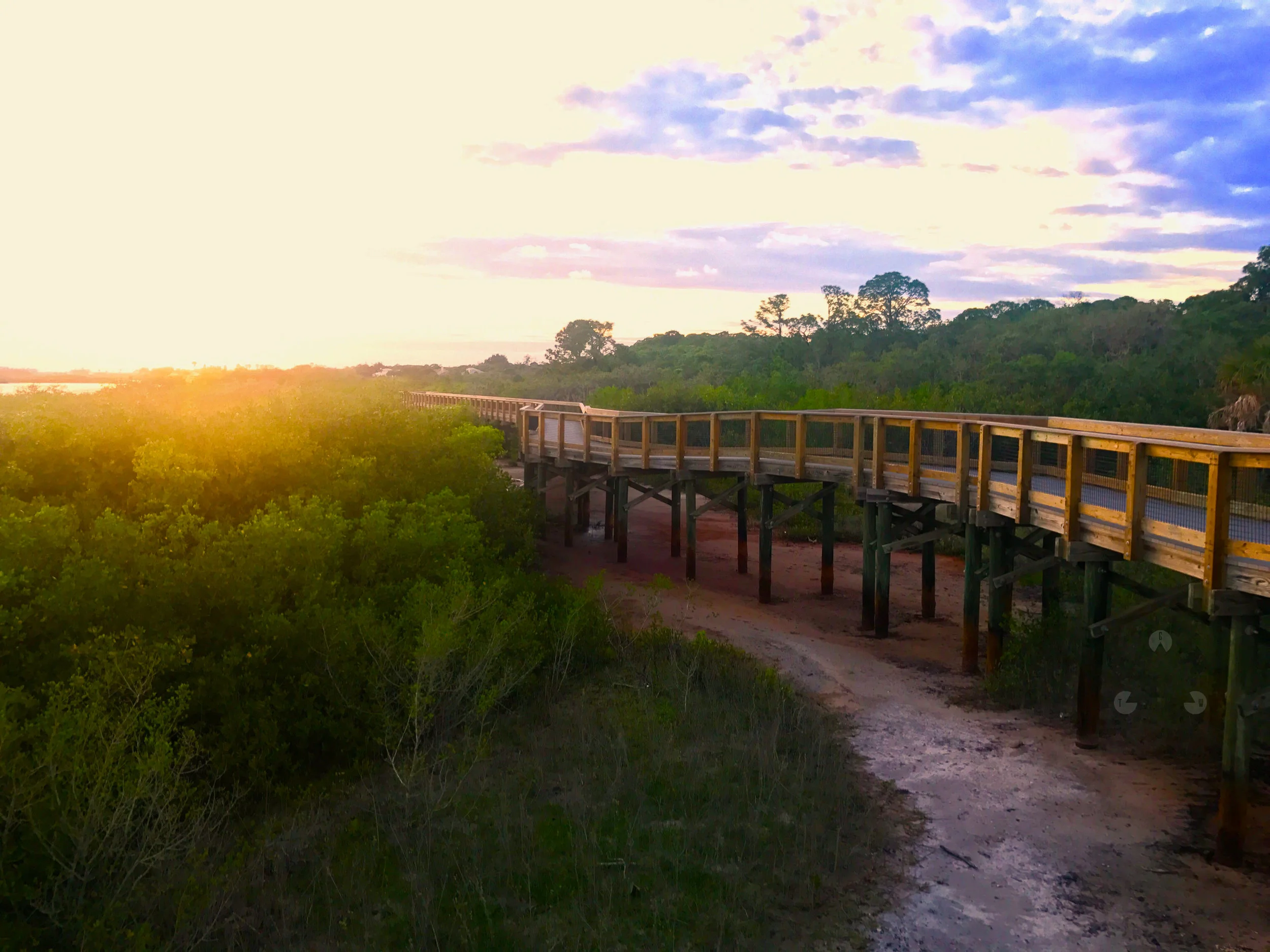 Walk-to-the-light.jpg