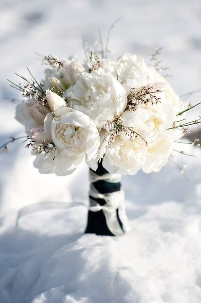  A winter bouquet