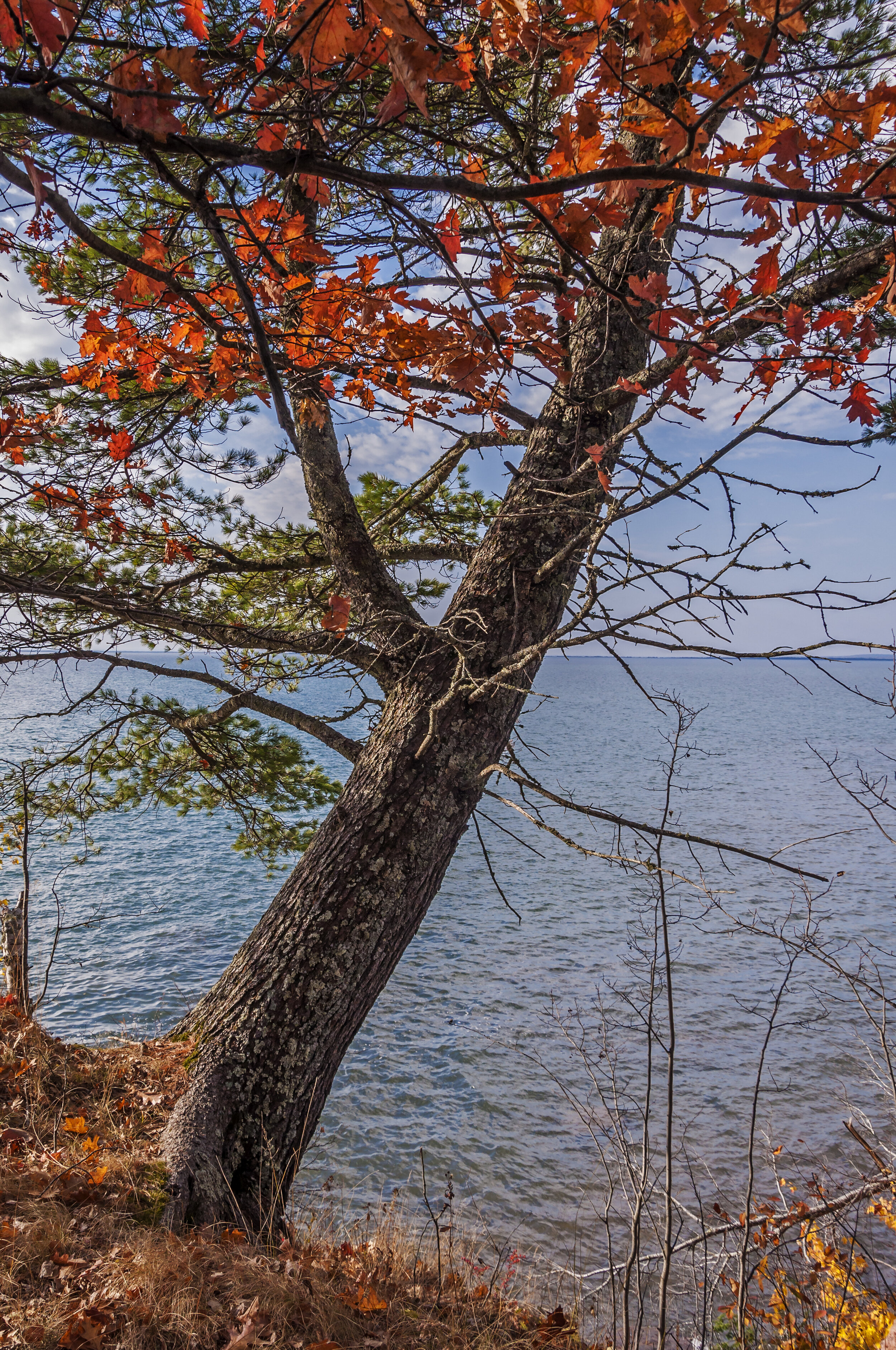  Madeline Island, Wisconsin: Autumn Colors along Lake Superior 