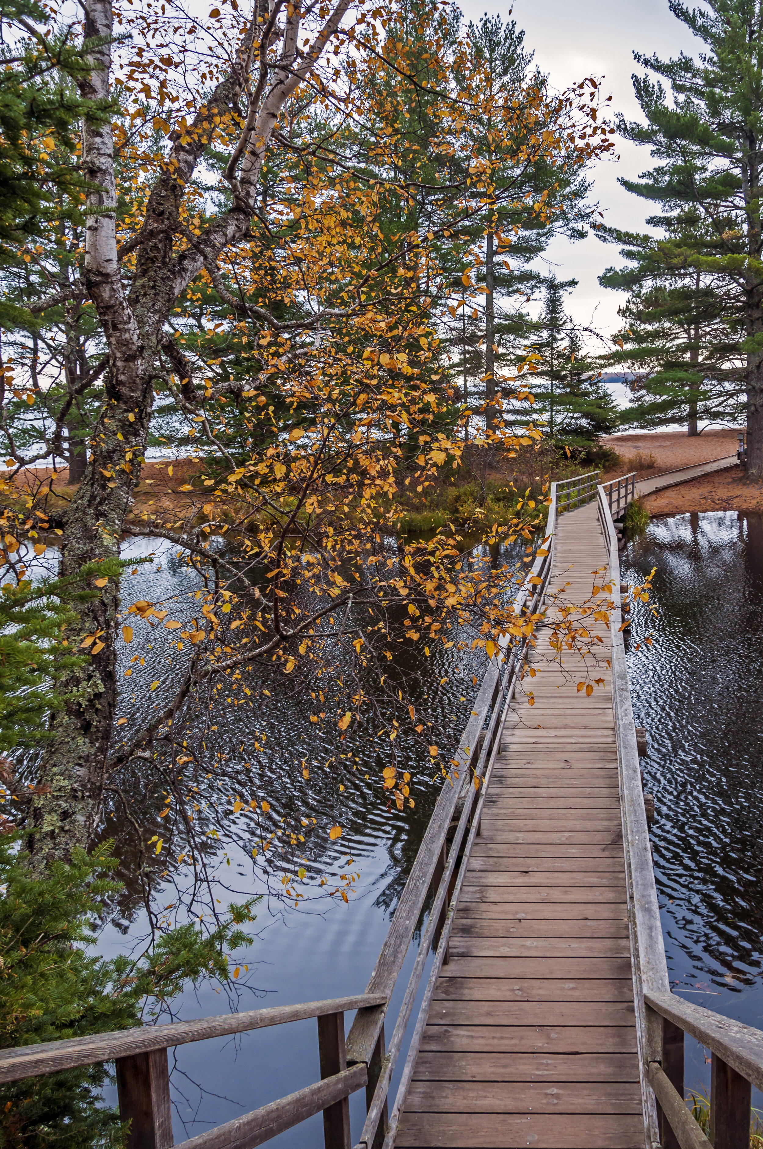  Madeline Island, Wisconsin: Autumn Colors along Lake Superior 