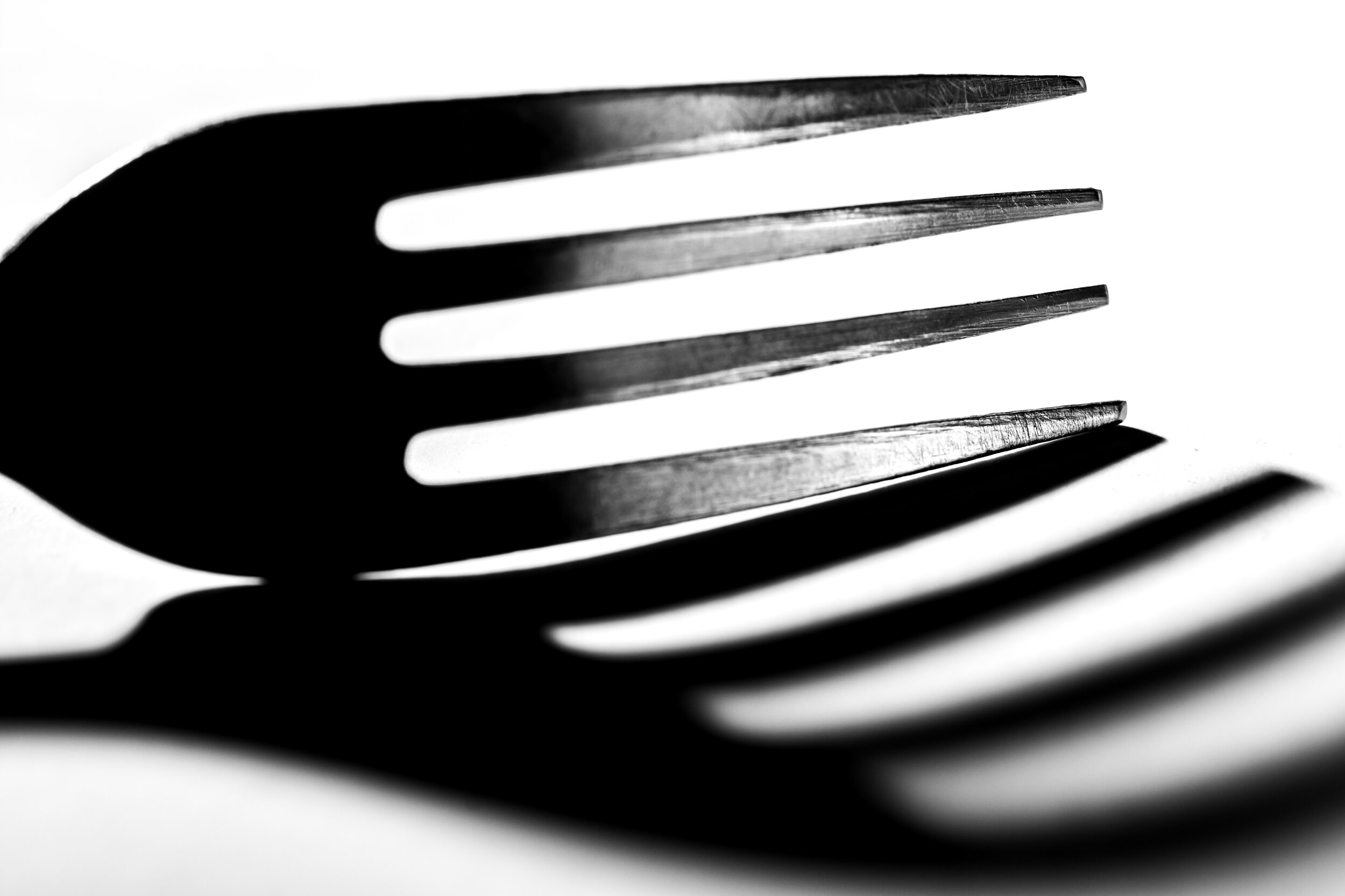  One Light in back of Fork  Electronic Flash 