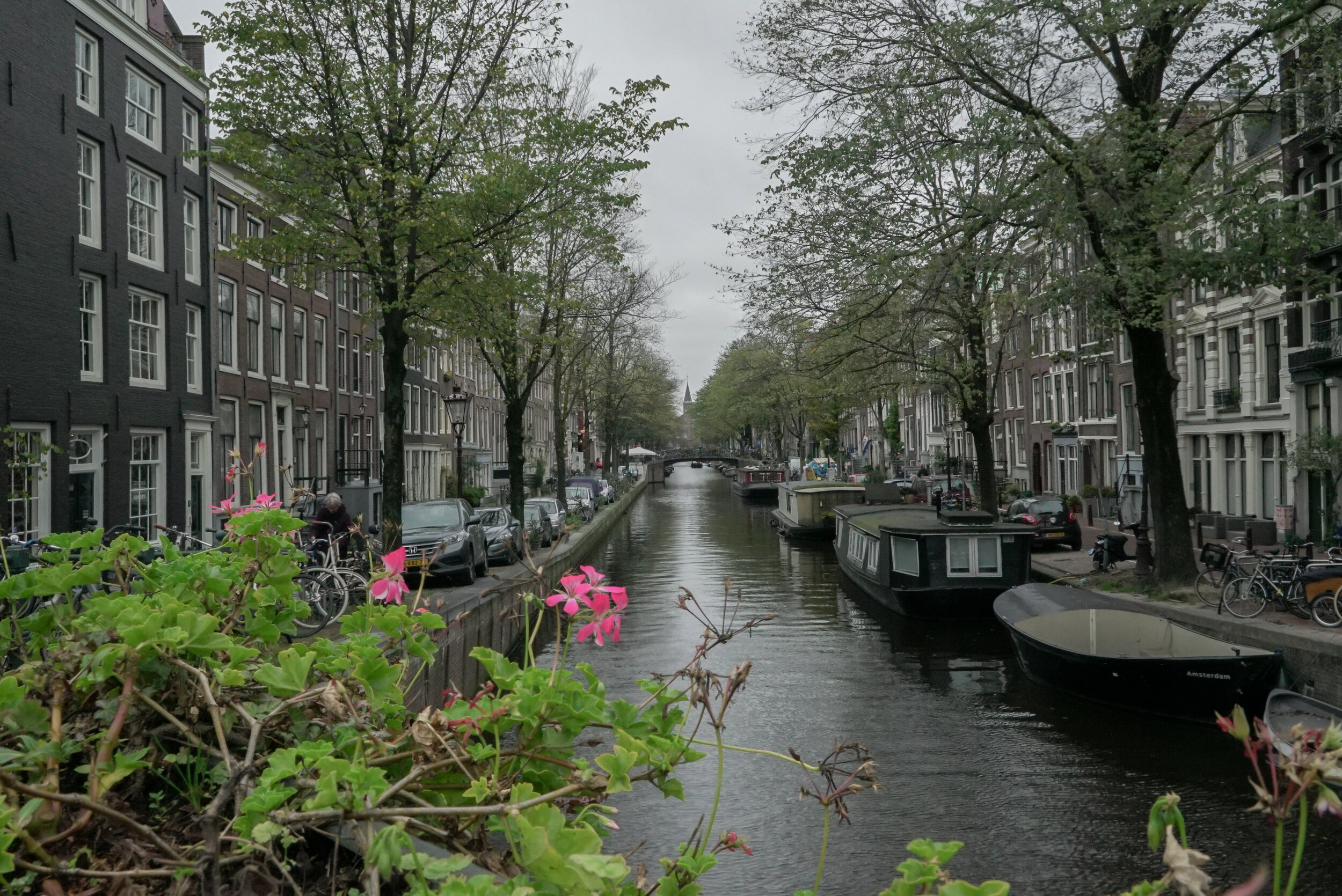 amsterdam1.jpg