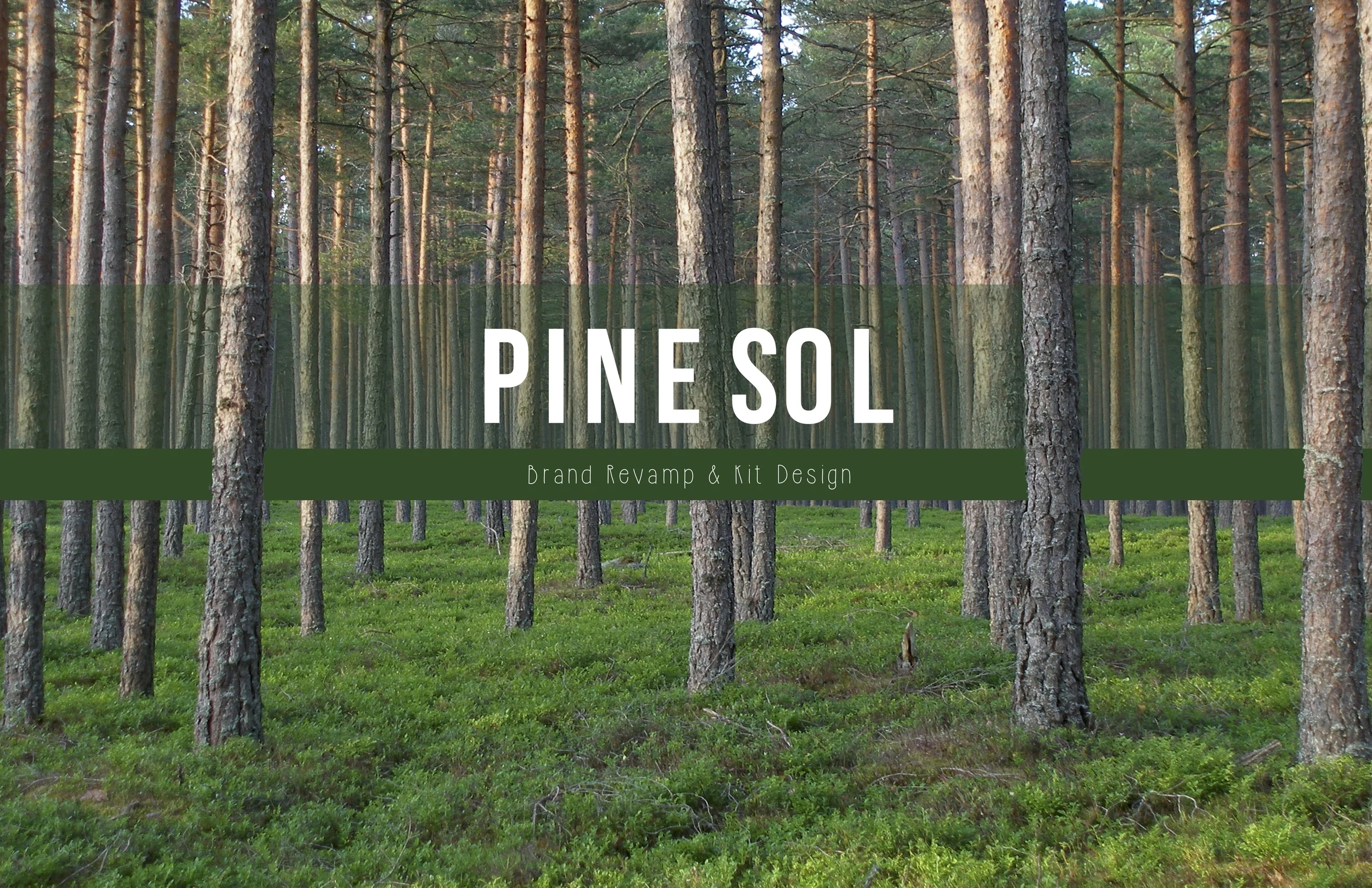 Pinesol Layout pg1.jpg