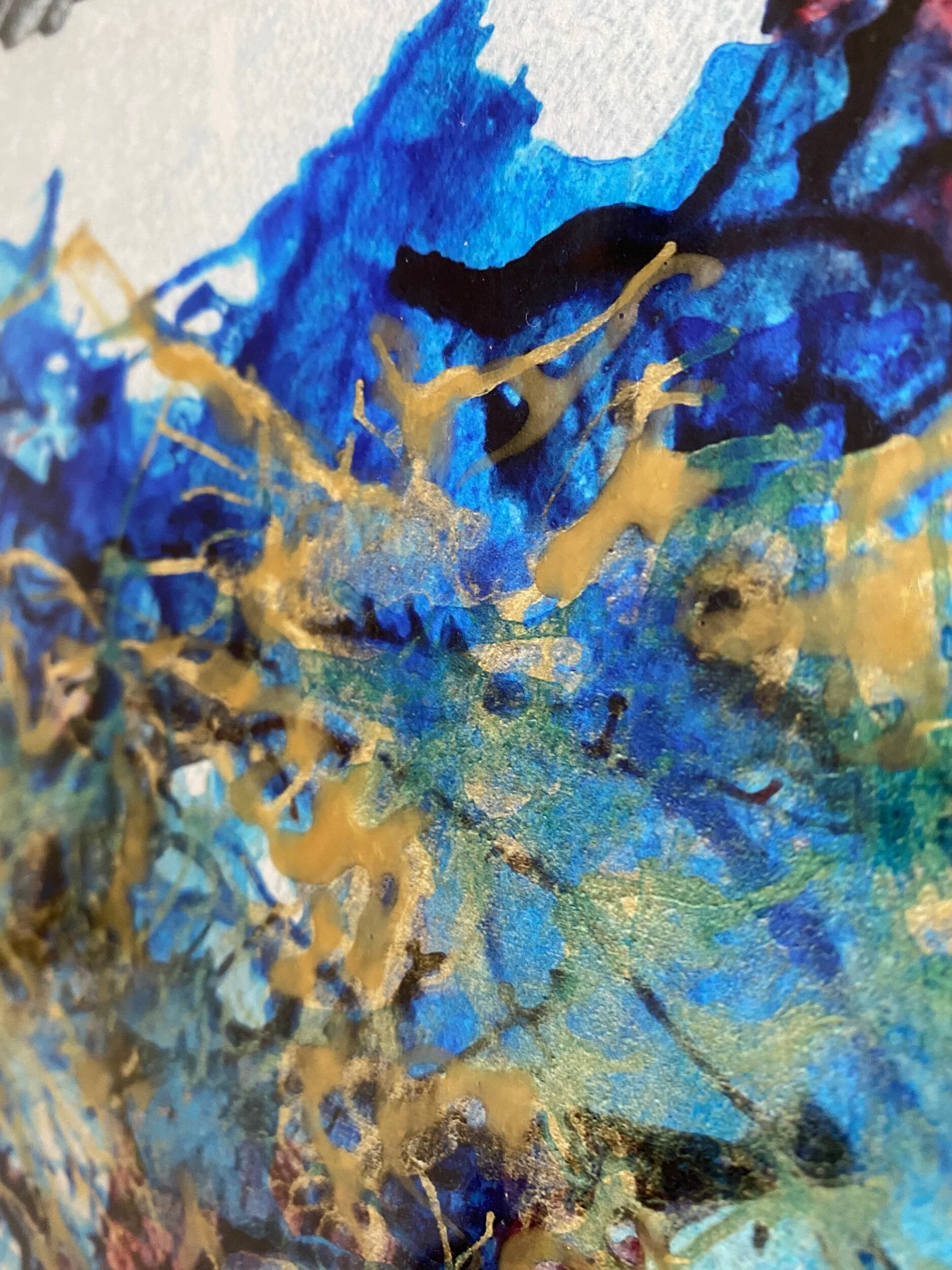 E3F78B83-3E83-4922-9240-7EAABBF8404A