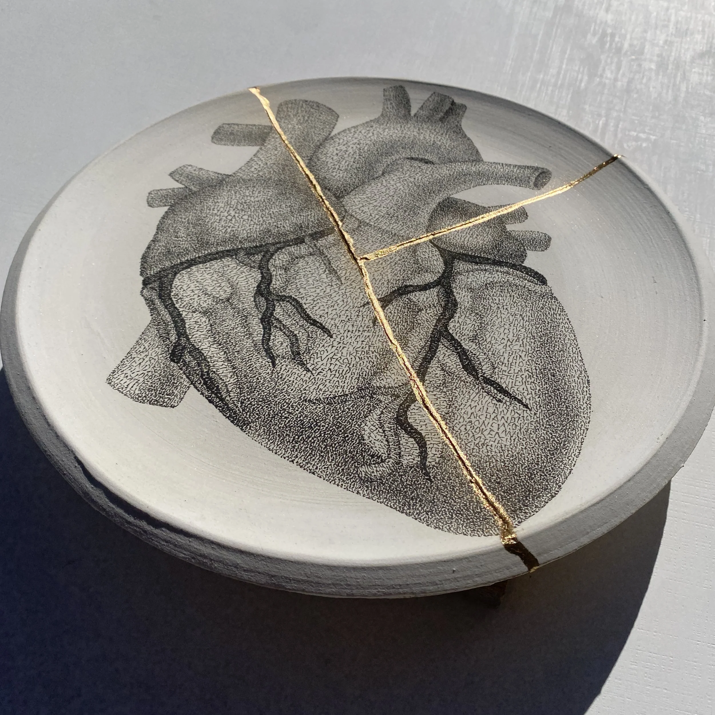 Plate 1.2 (2) F Angle.JPG