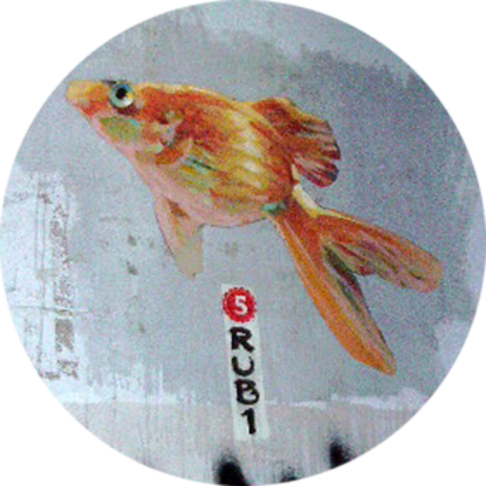 fish5.png