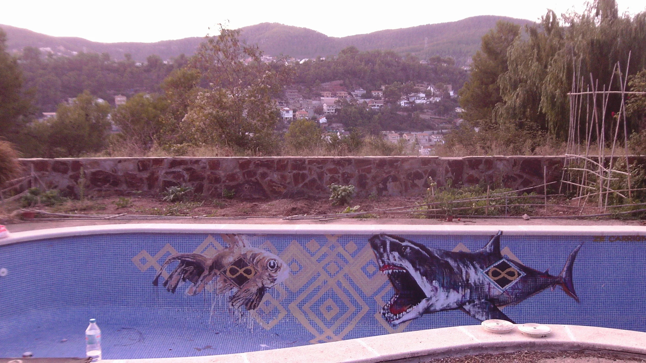 PTDC0428.JPG
