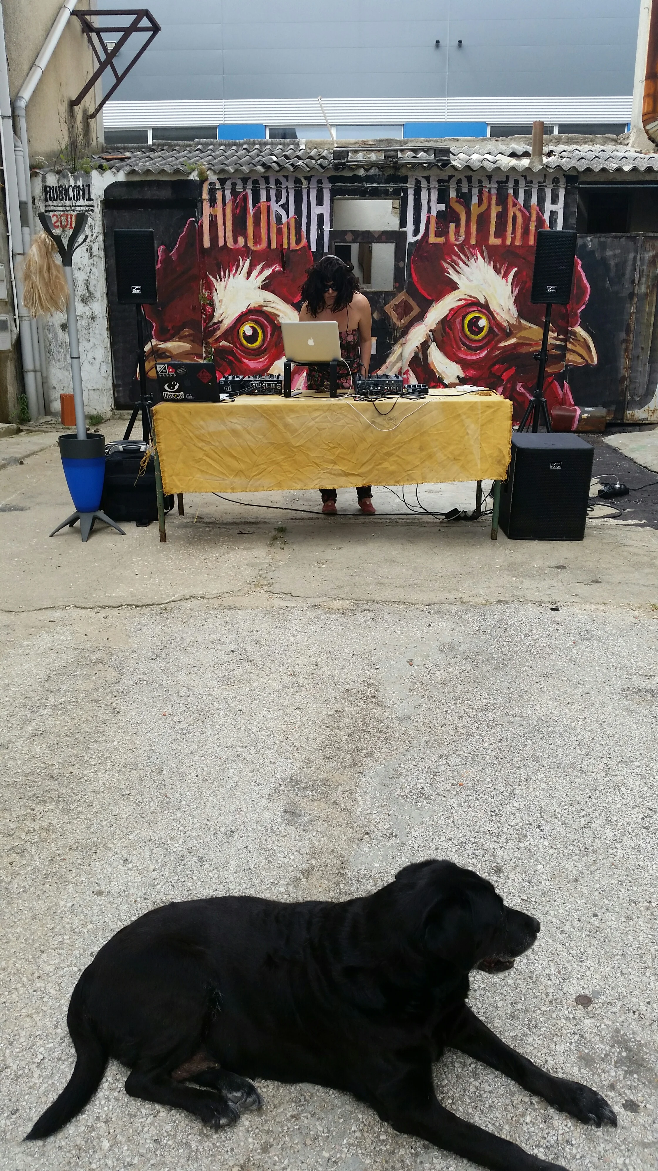 20160521_155351_resized.jpg