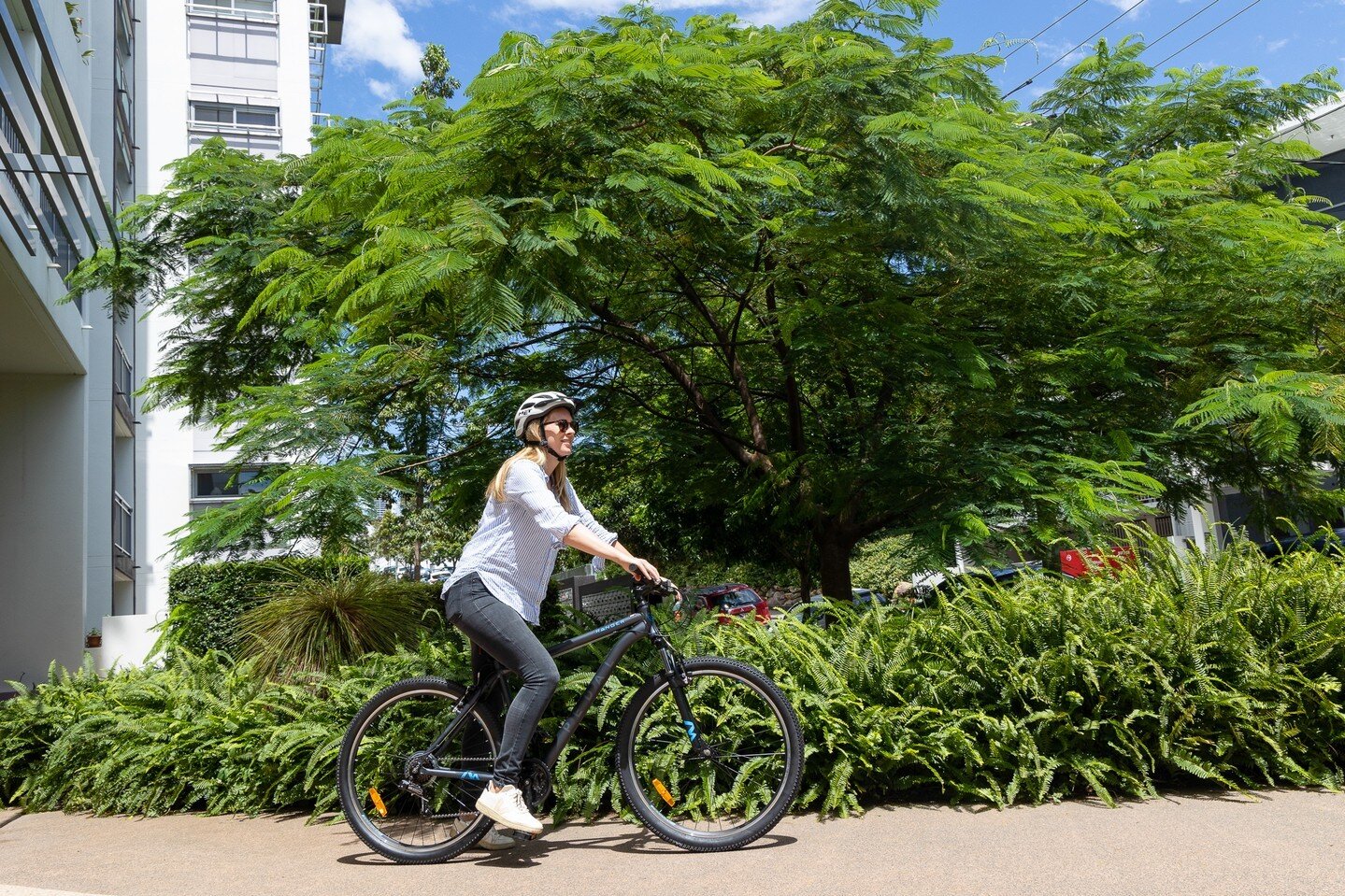 pedal ranger mountain bike review