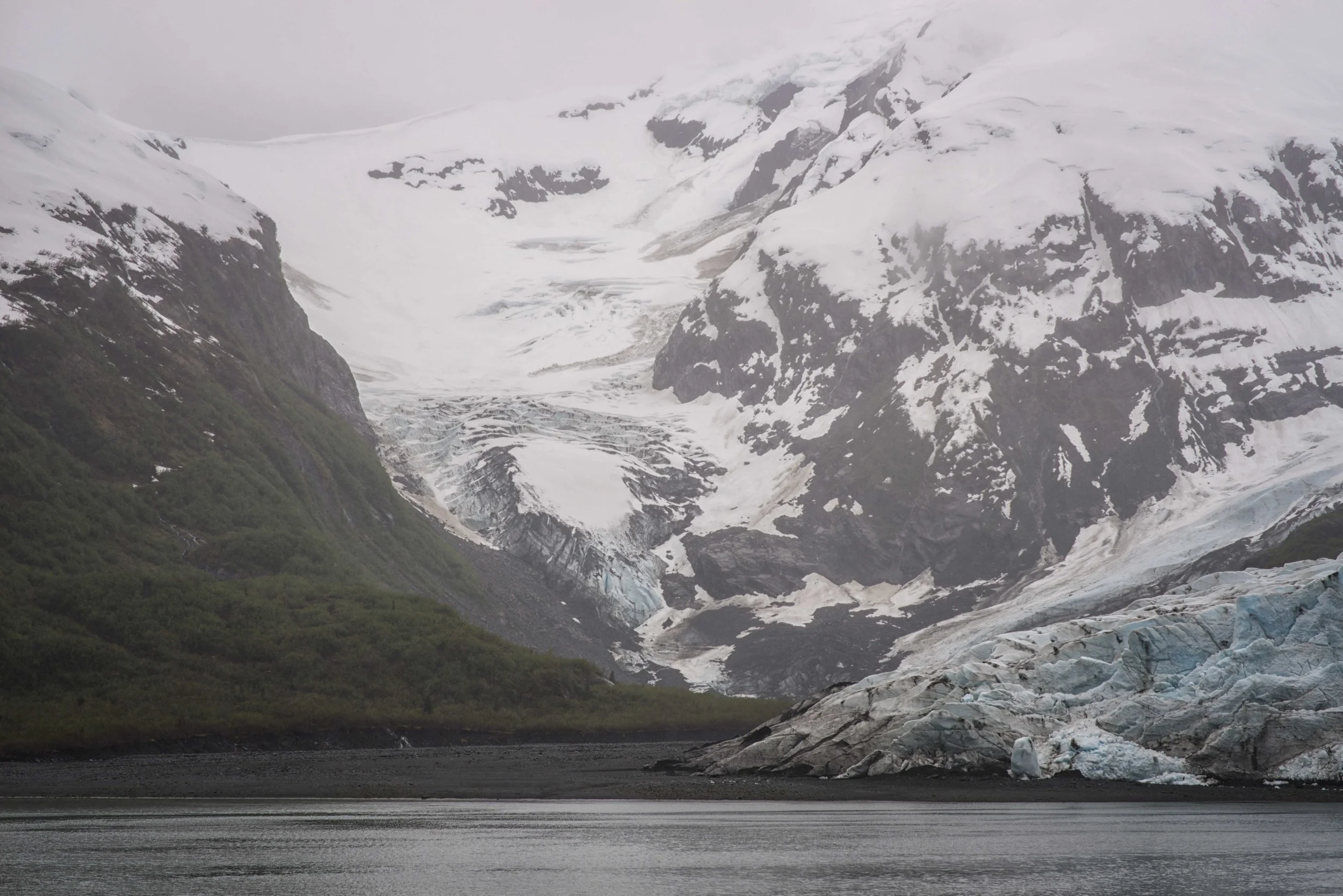 DSC_6266.jpg