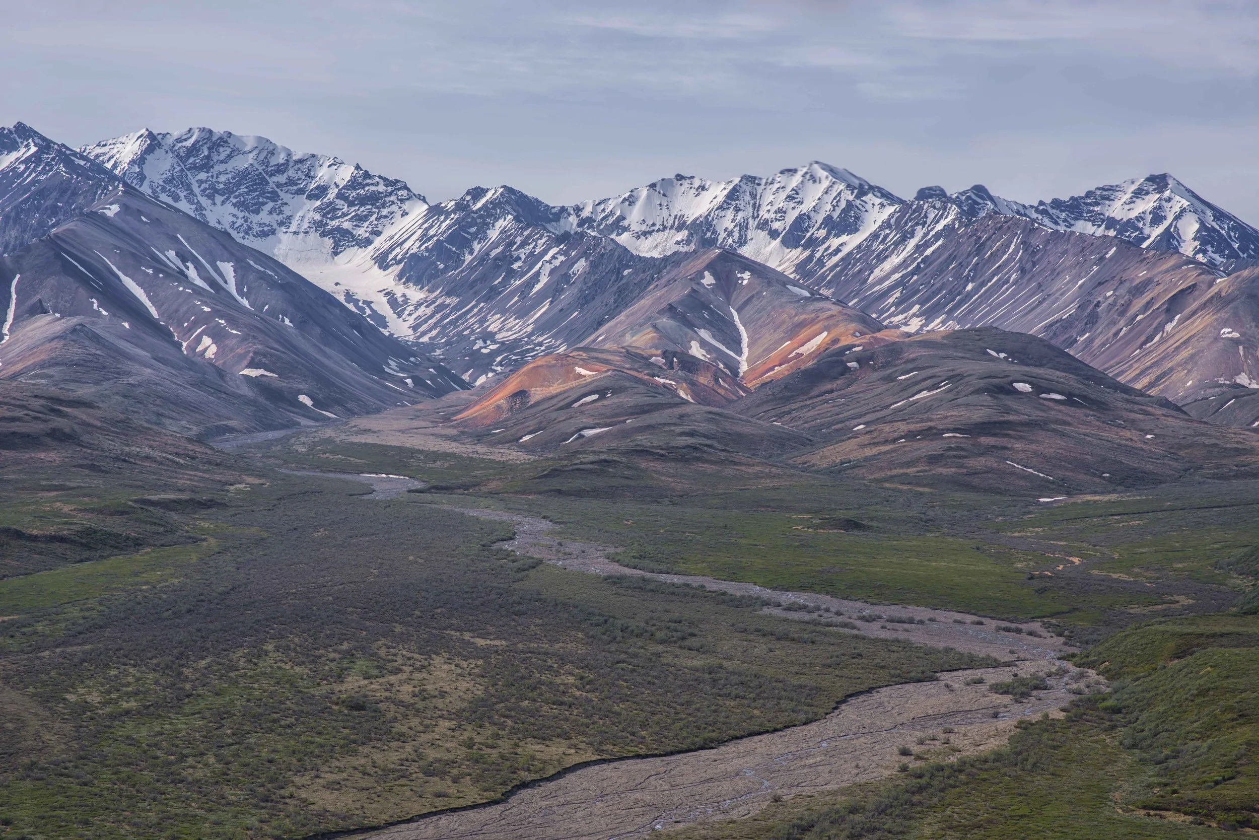 DSC_6960.jpg
