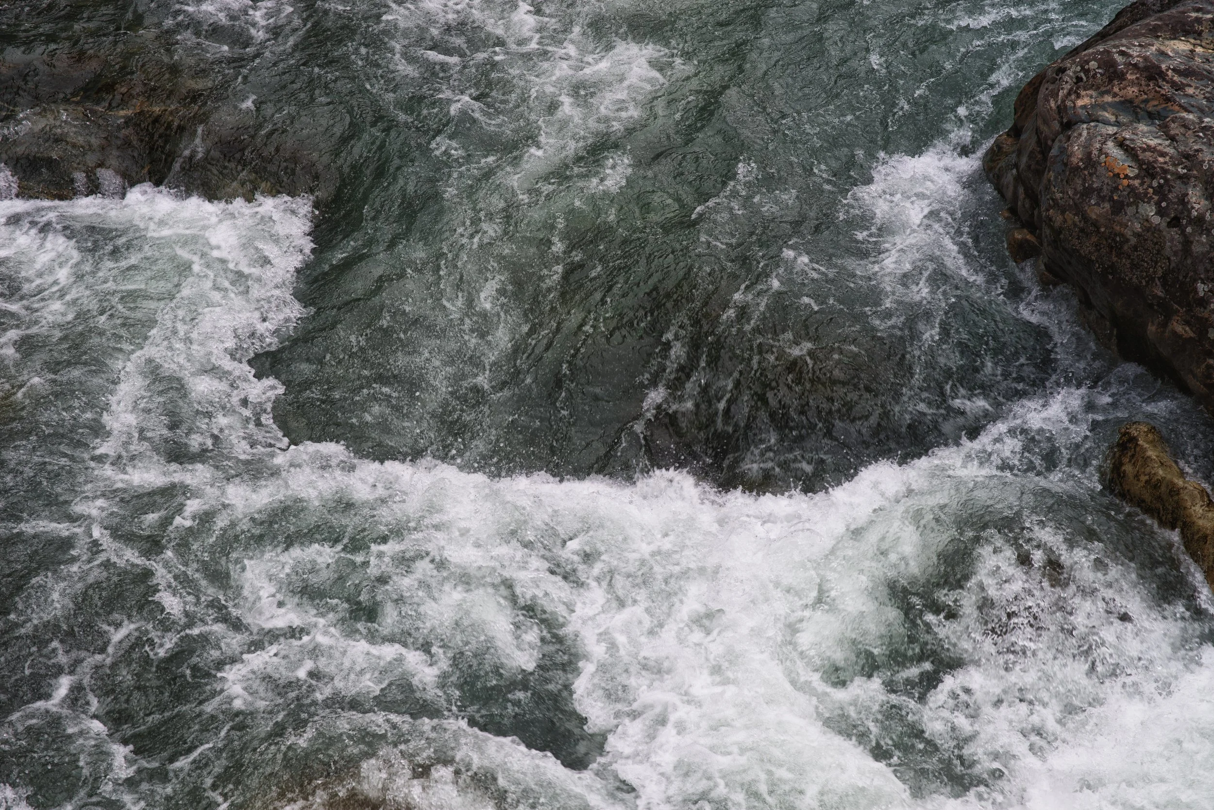 DSC_7646.jpg