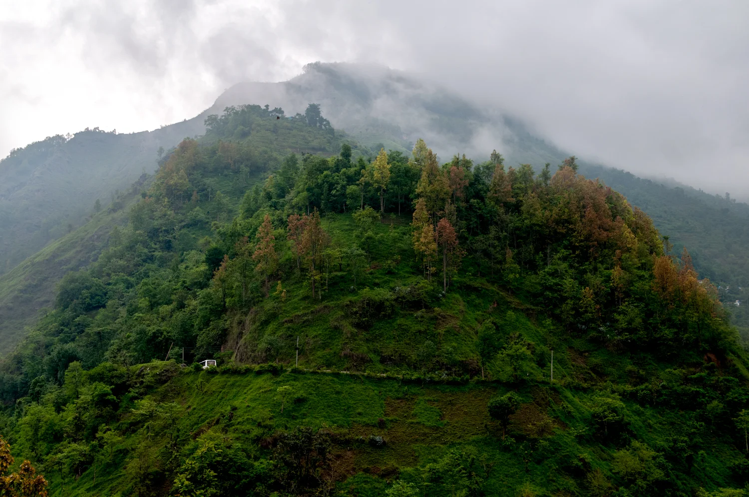 DSC_0036-Edit.jpg