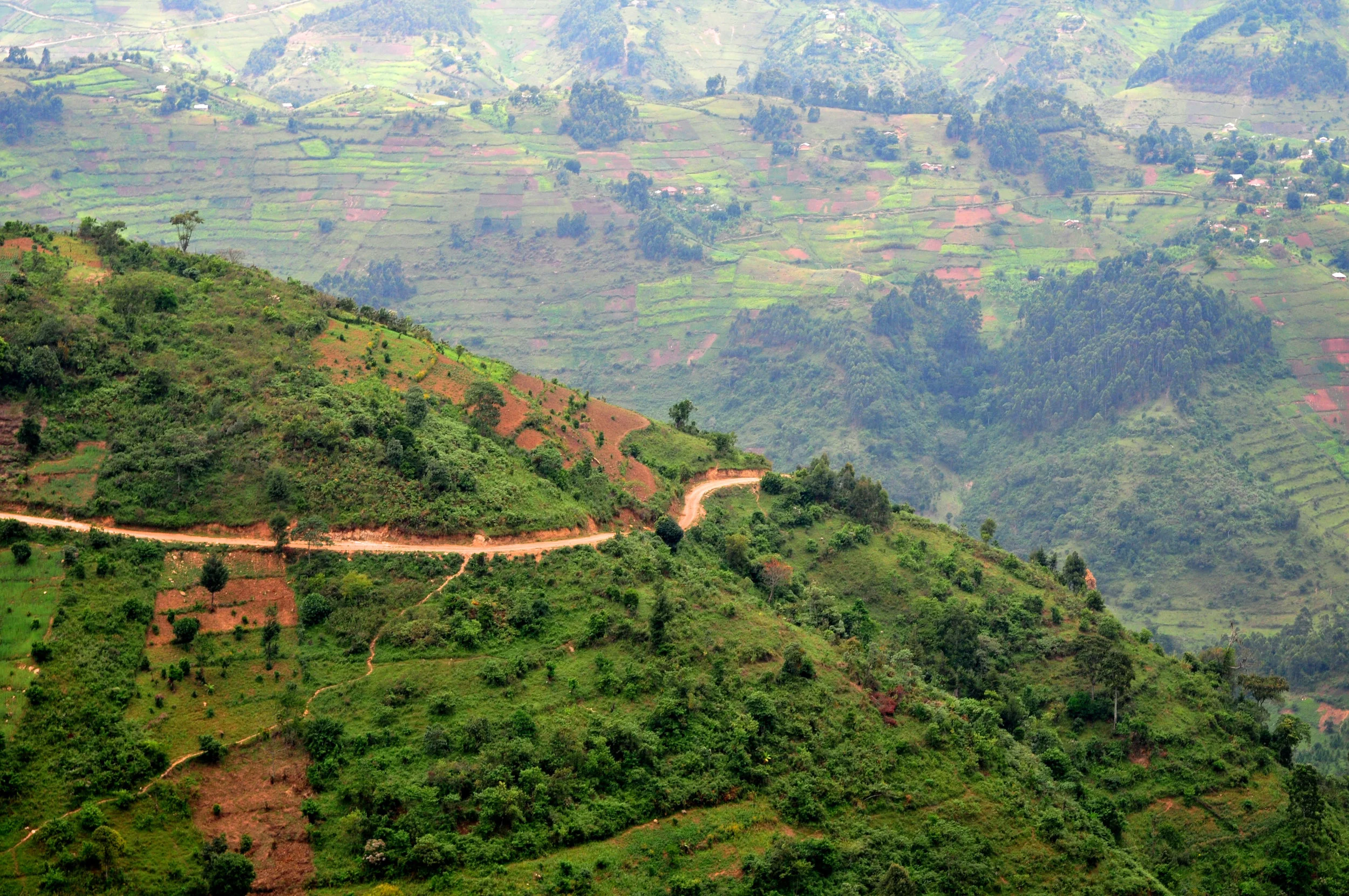 Border from Bwindi copy.jpg
