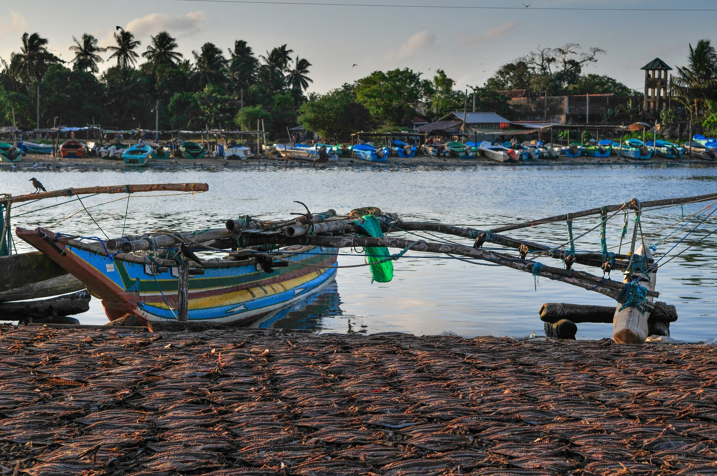 _DSC9677-Edit.jpg
