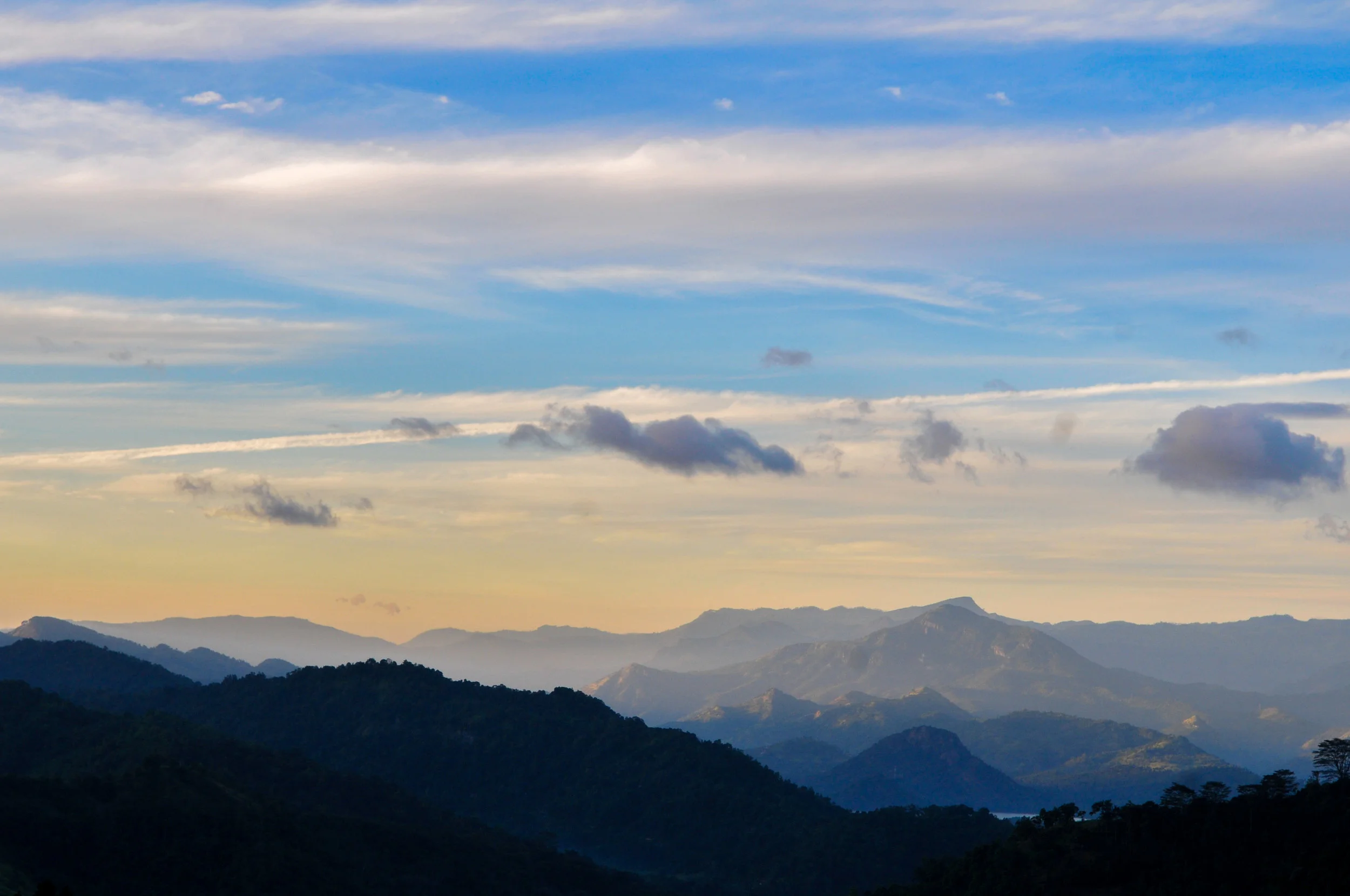_DSC9987-Edit.jpg