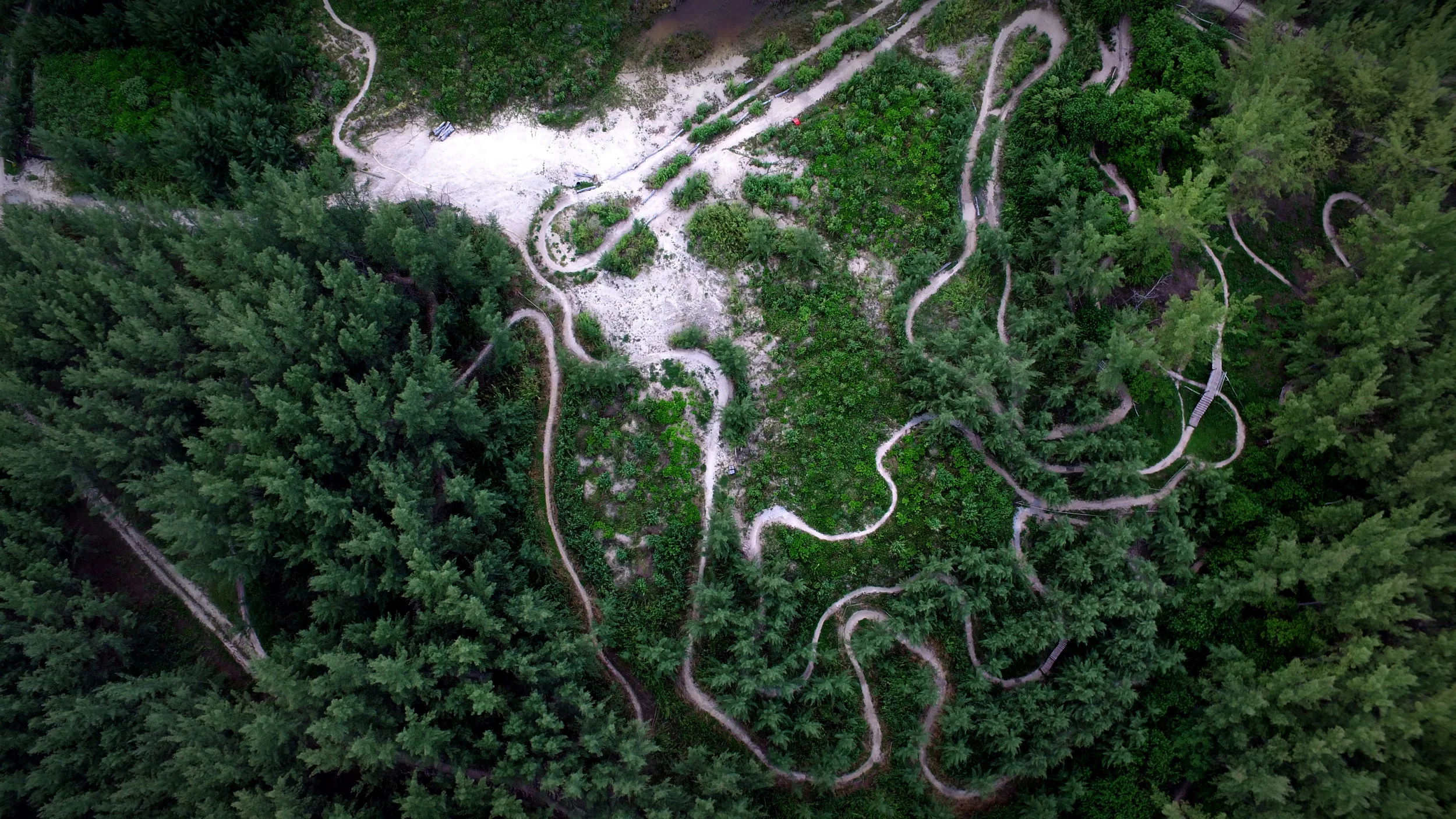 Virginia Key Bike Track.JPG