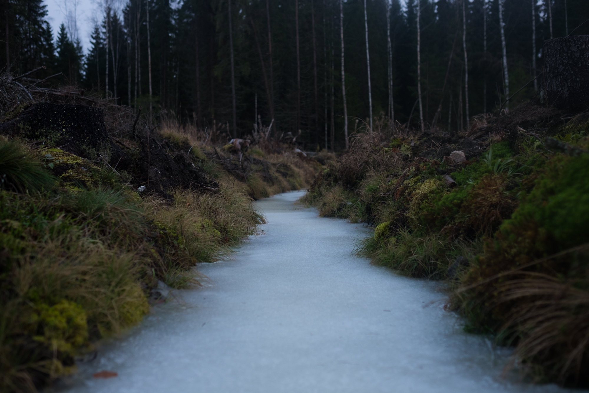 Frozen stream. Ruovesi, Finland.