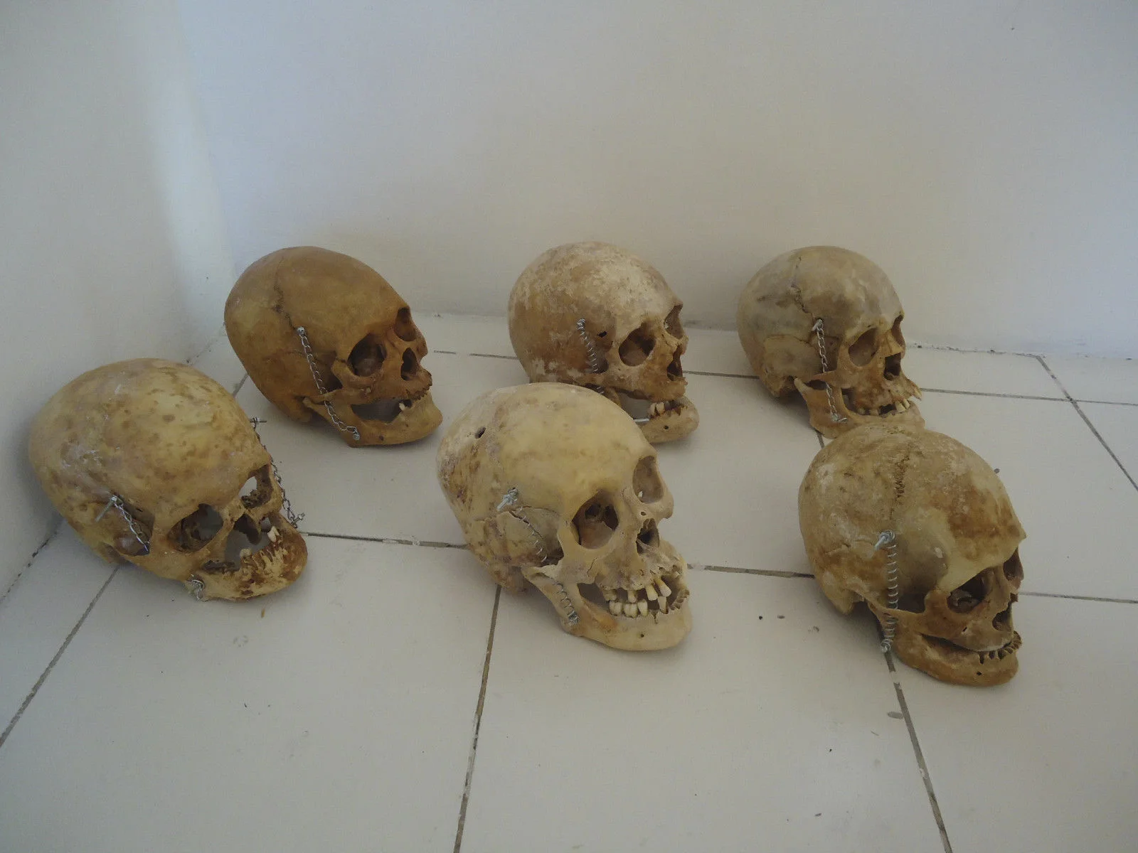 Skull Floor.jpg