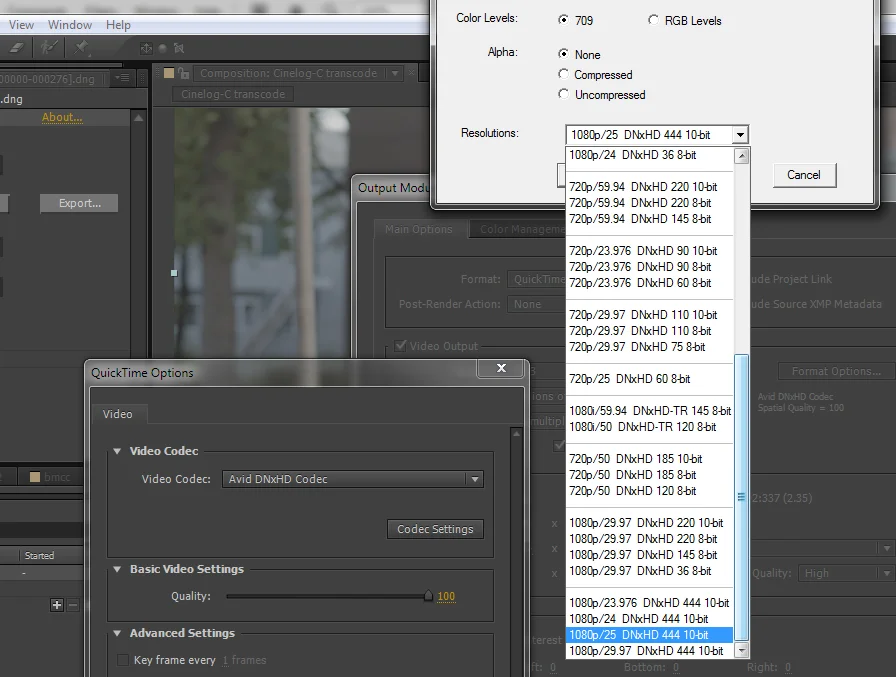 Transcoding options