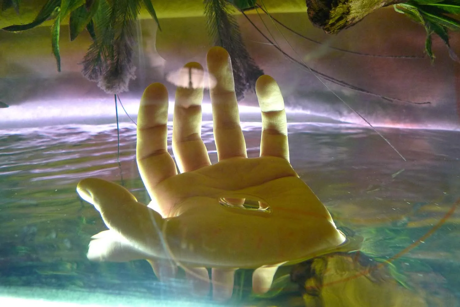 Bubble stigmata