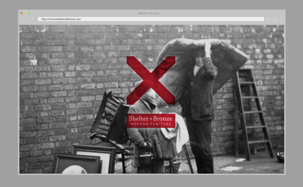 Website; homepage