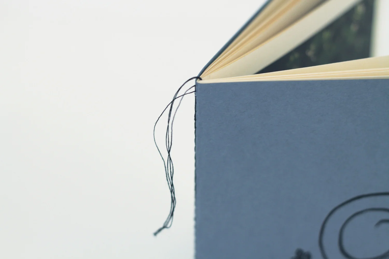 Publication; detail