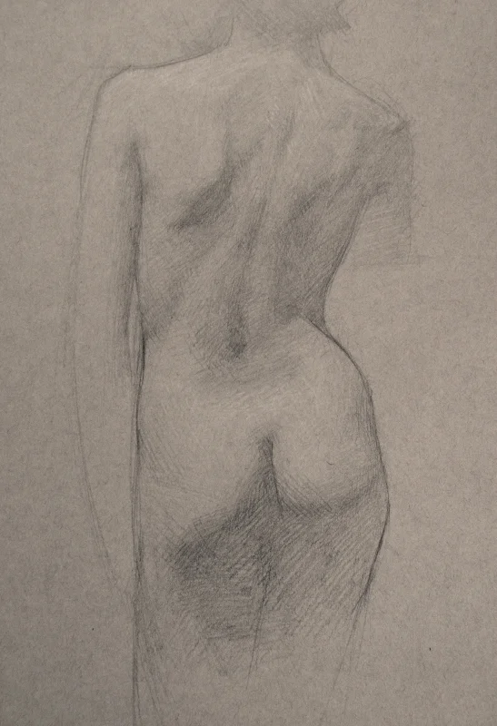 Female_back_study46722e.jpg