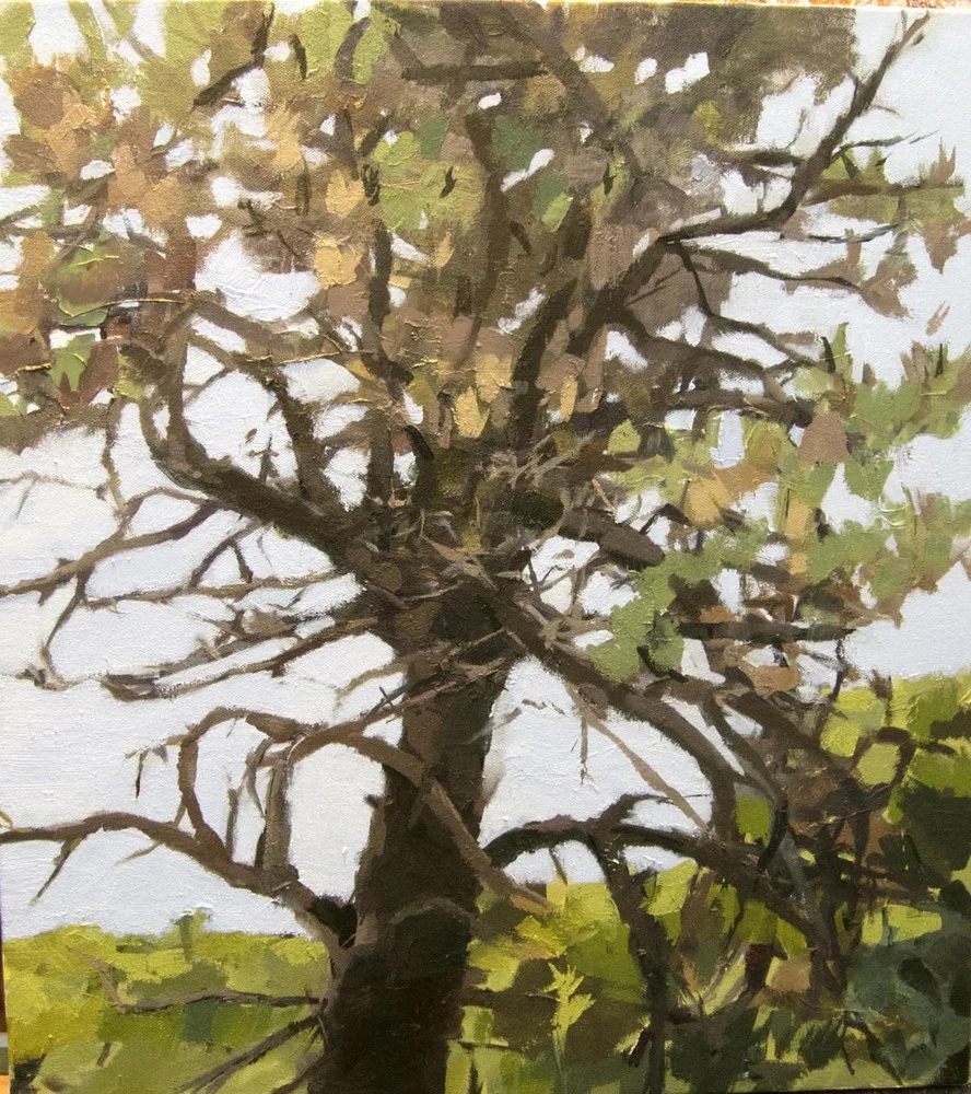 Nancy McCarthy Workshop Balance