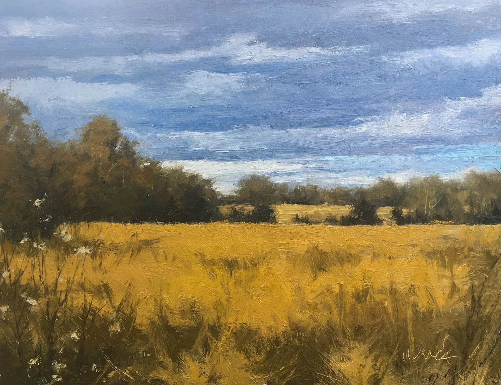 Kevin Winter Landscape.JPEG