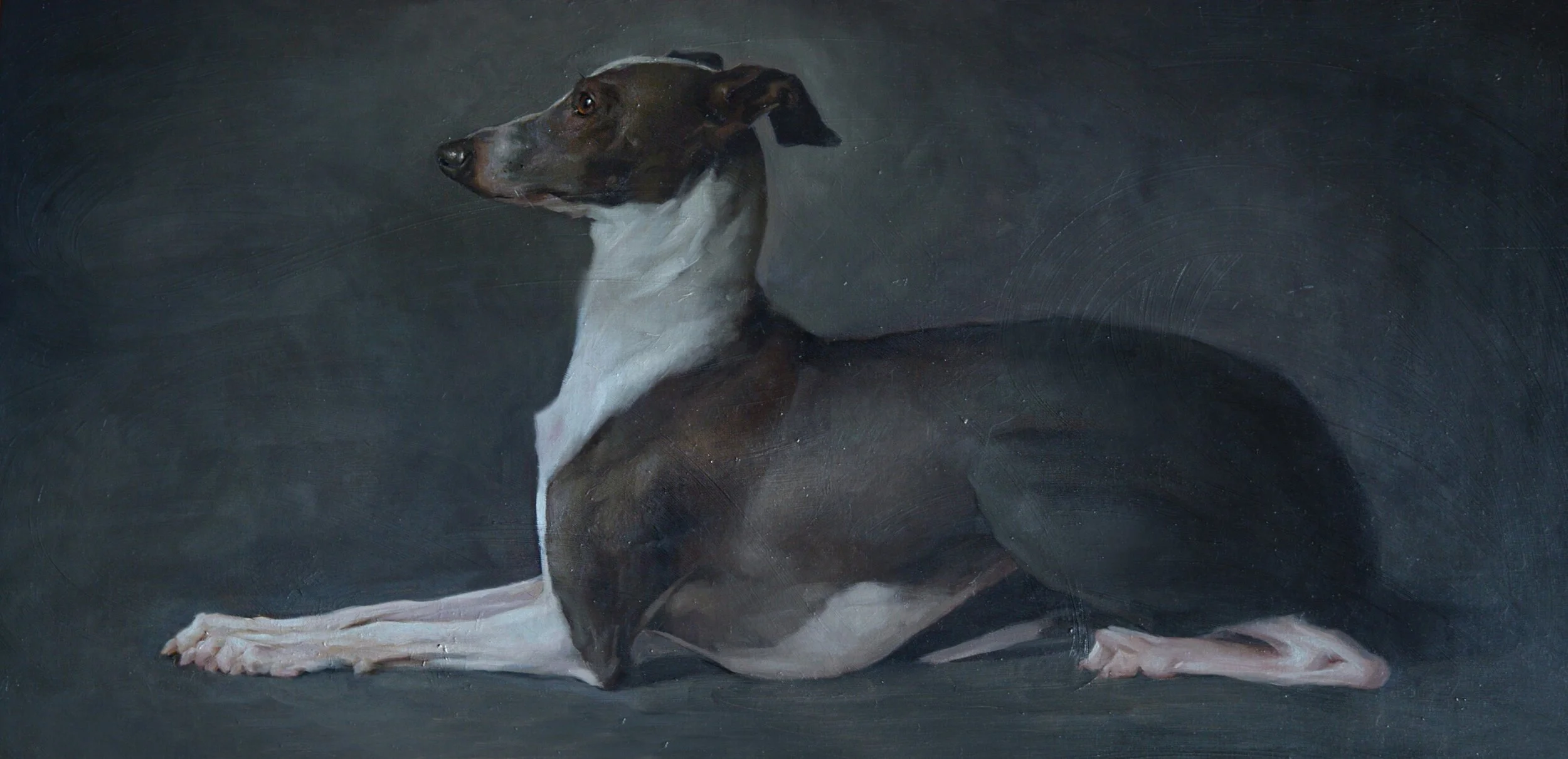 greyhound.jpg