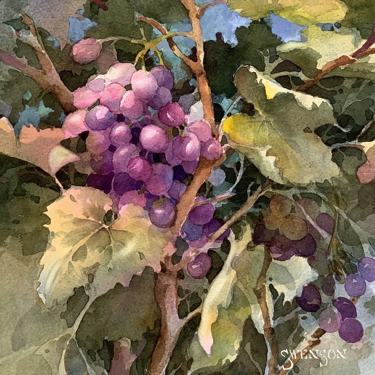 On the Vine__Brenda Swenson.jpeg