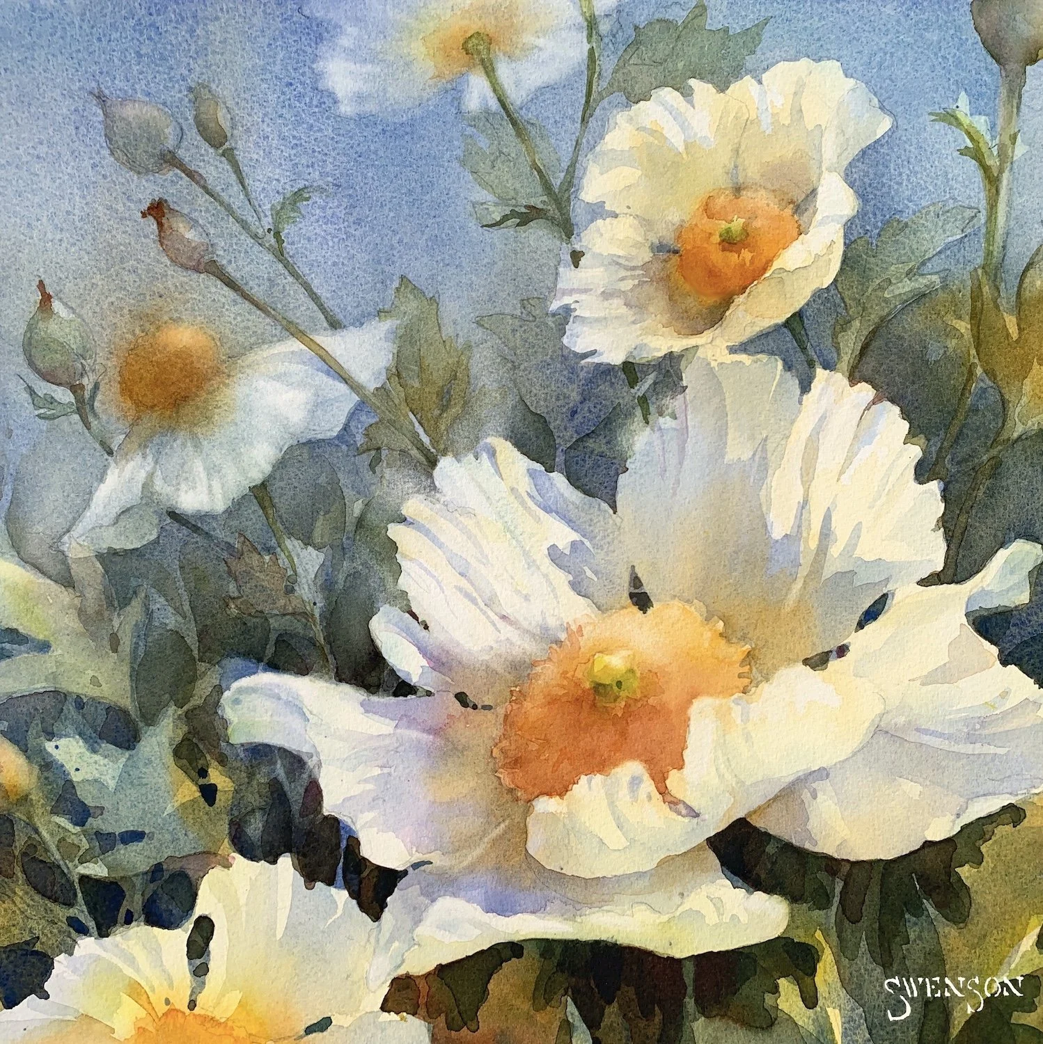 Matilijas in the Light__Brenda Swenson.jpg