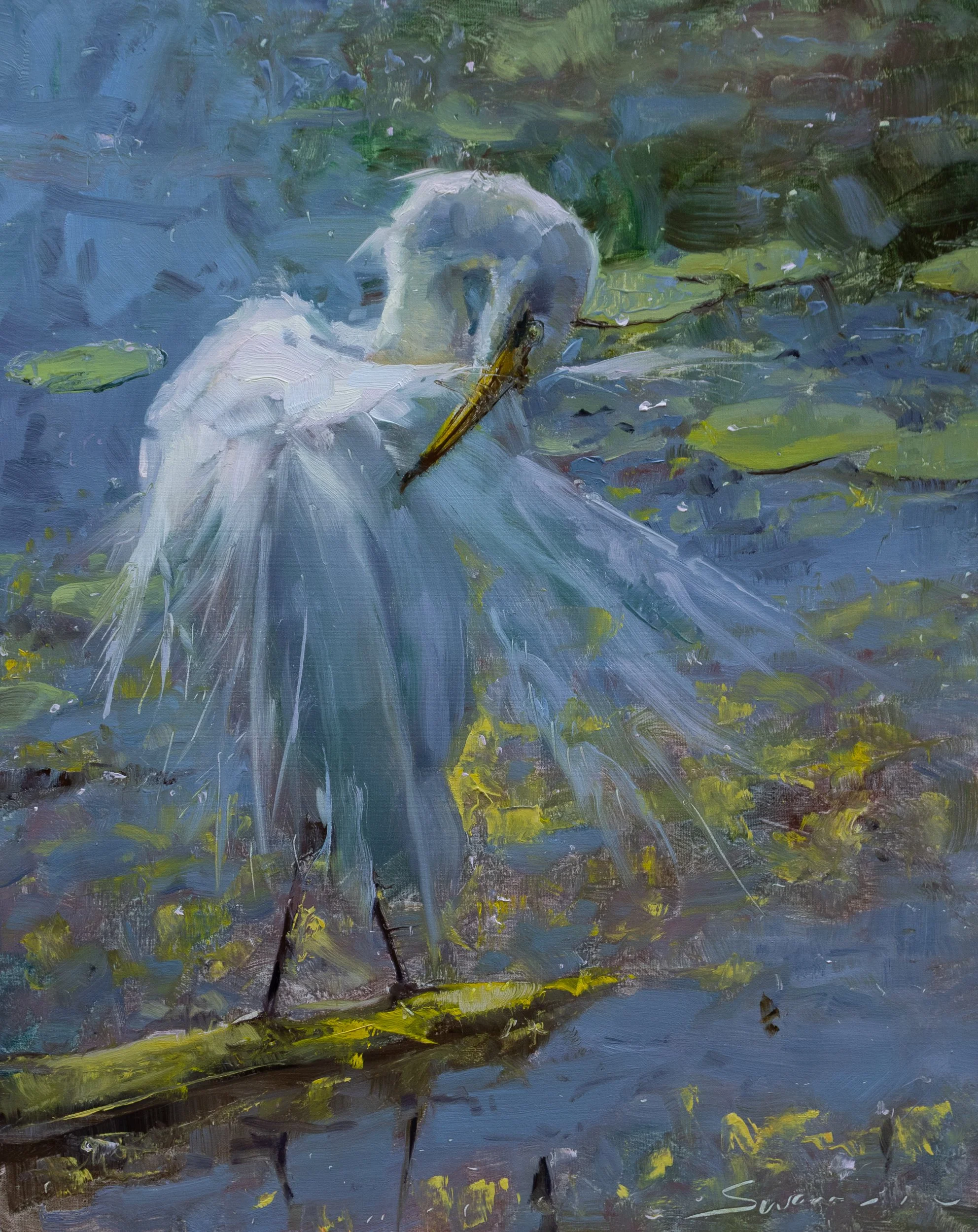 The Great White Egret.jpg