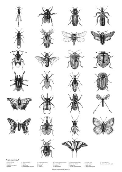 ArthropodZ giclee print
