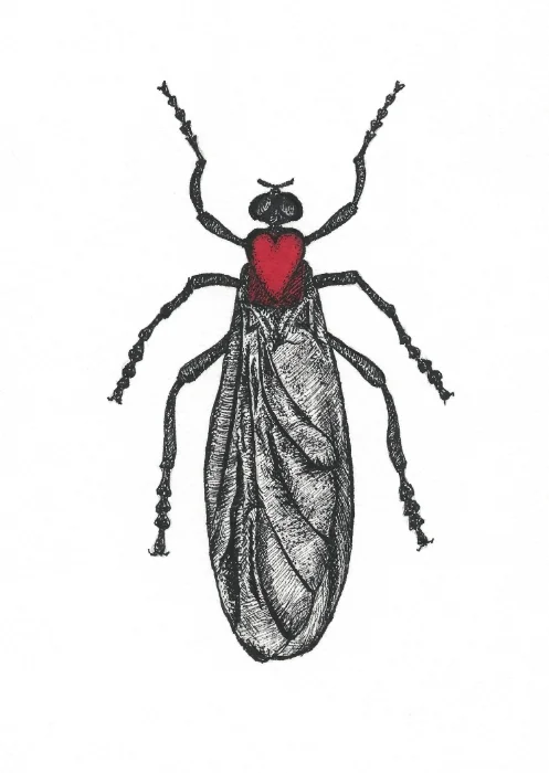 love bug