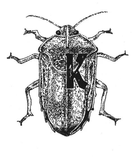 koa bug