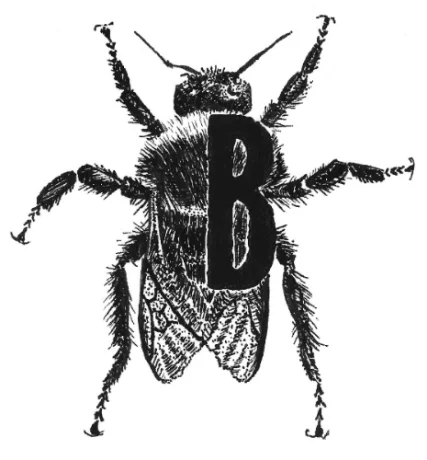 bumble bee