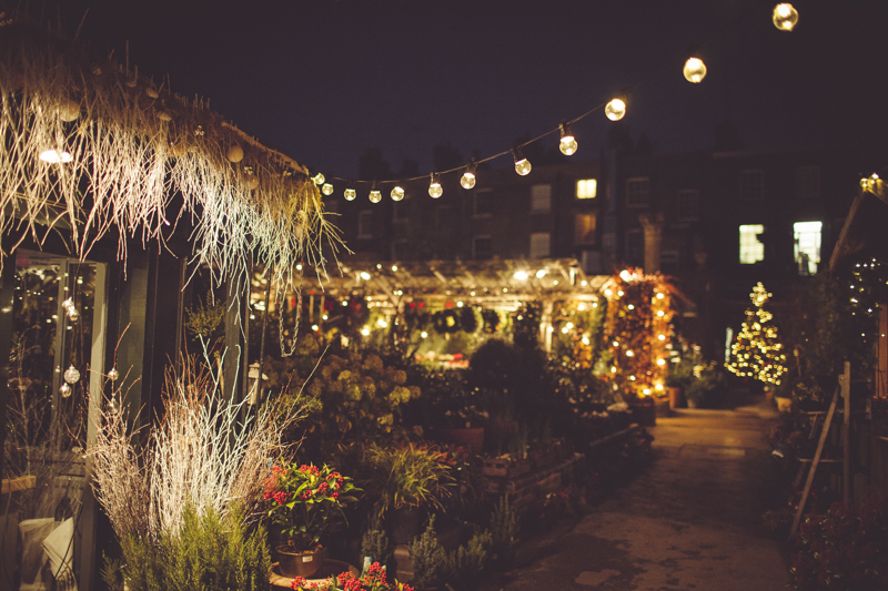 Evening Wedding ceremony