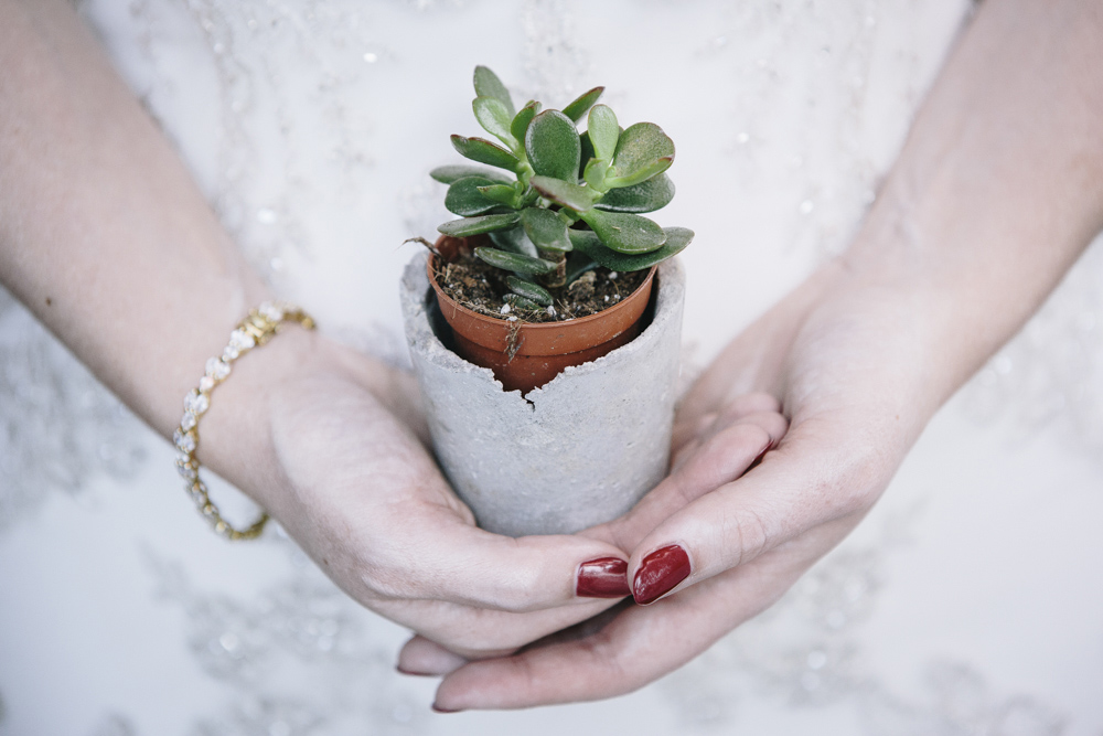 wedding cacti