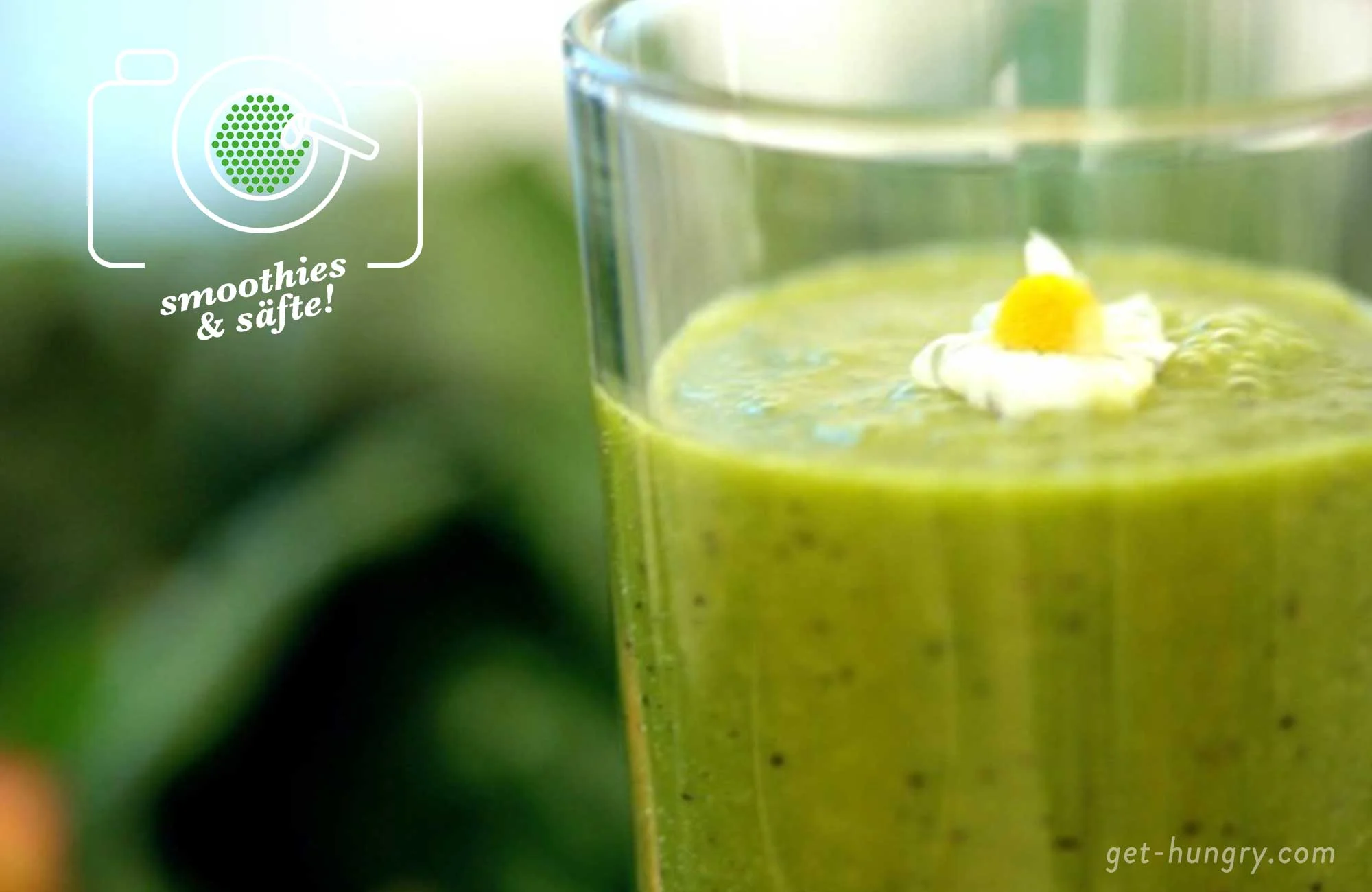 Wildkräuter-Salat mit Apfel-Dressing — Harmony Kitchen Wildkräuter-Salat mit Apfel-Dressing — Harmony Kitchen