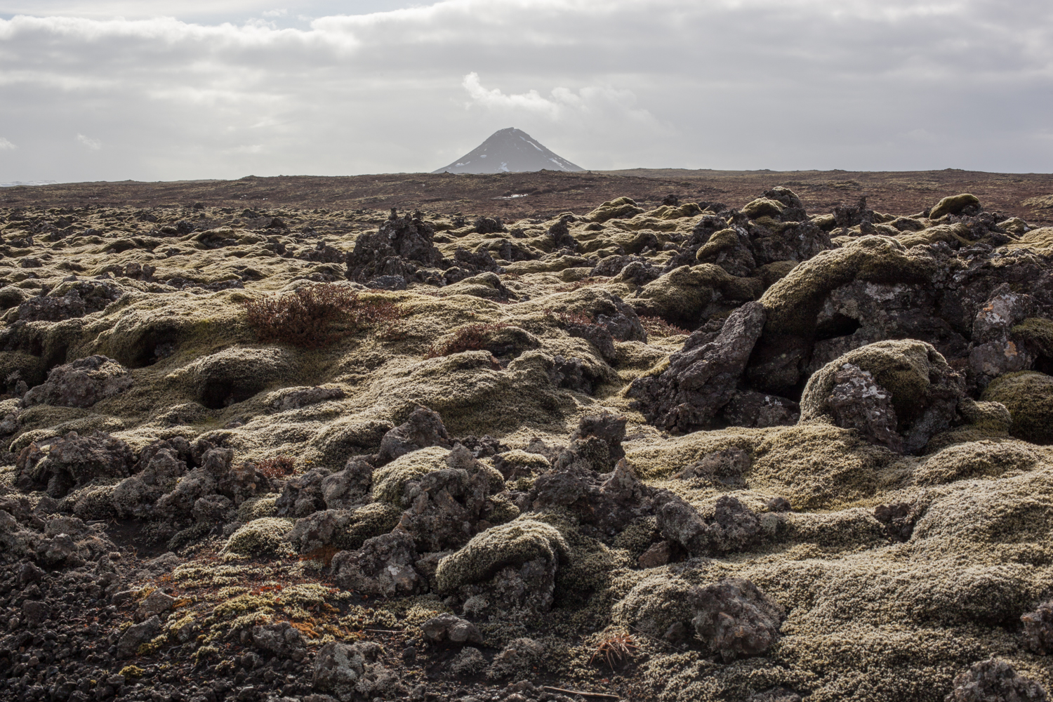 ring_road_iceland-8.jpg