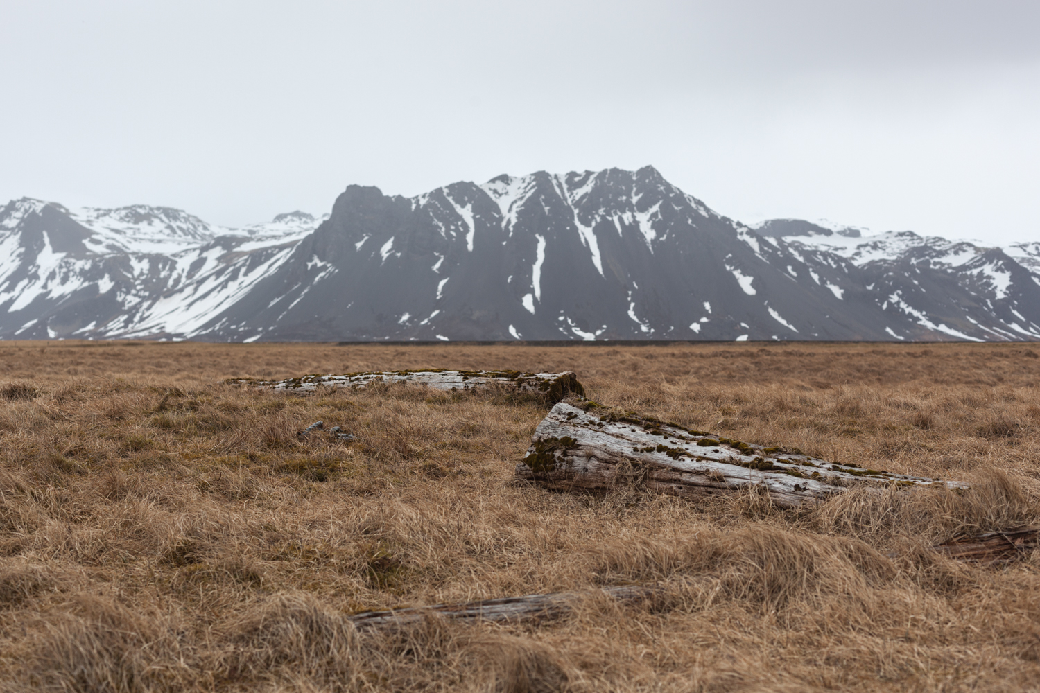 ring_road_iceland-142.jpg