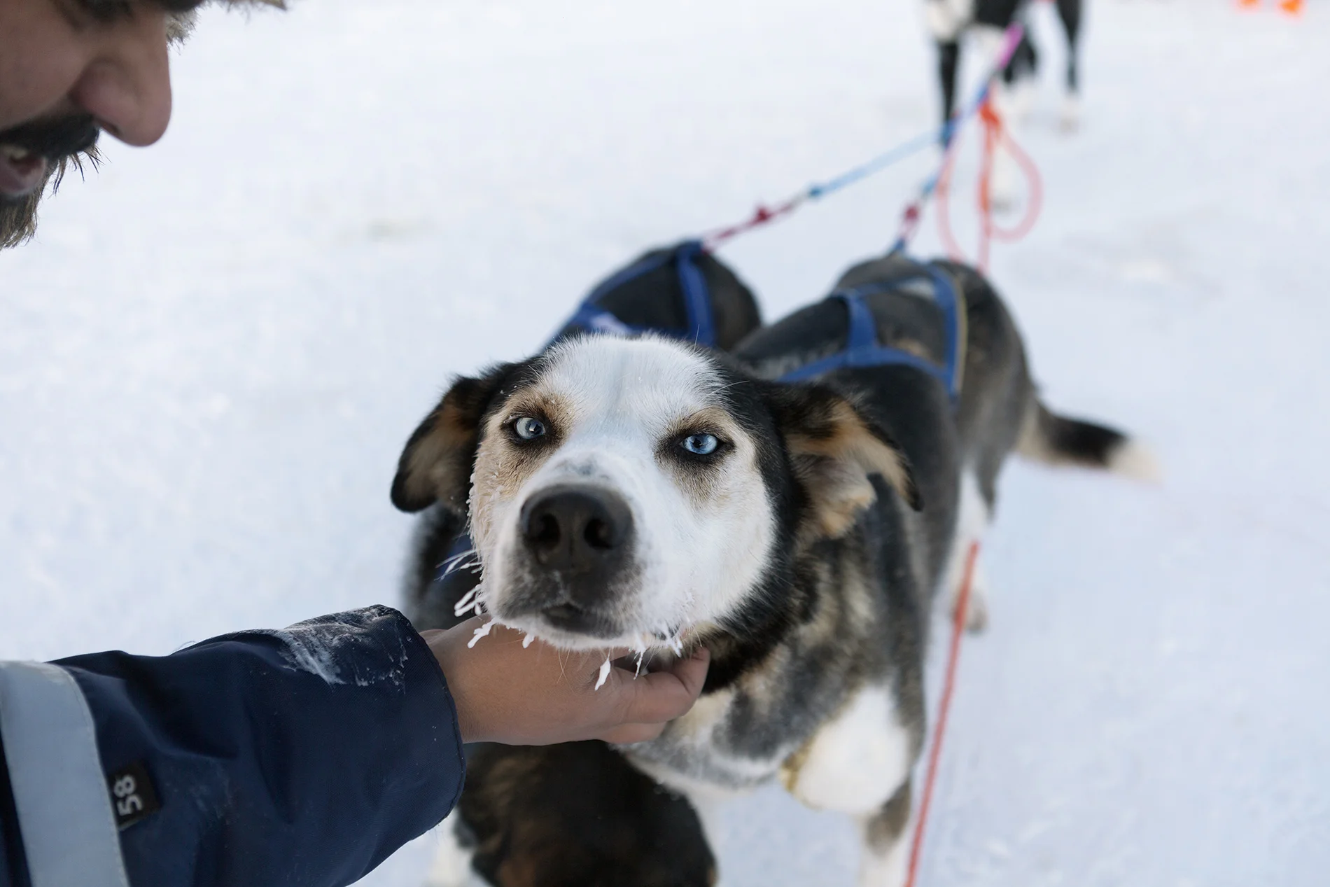 _MG_4188.jpg