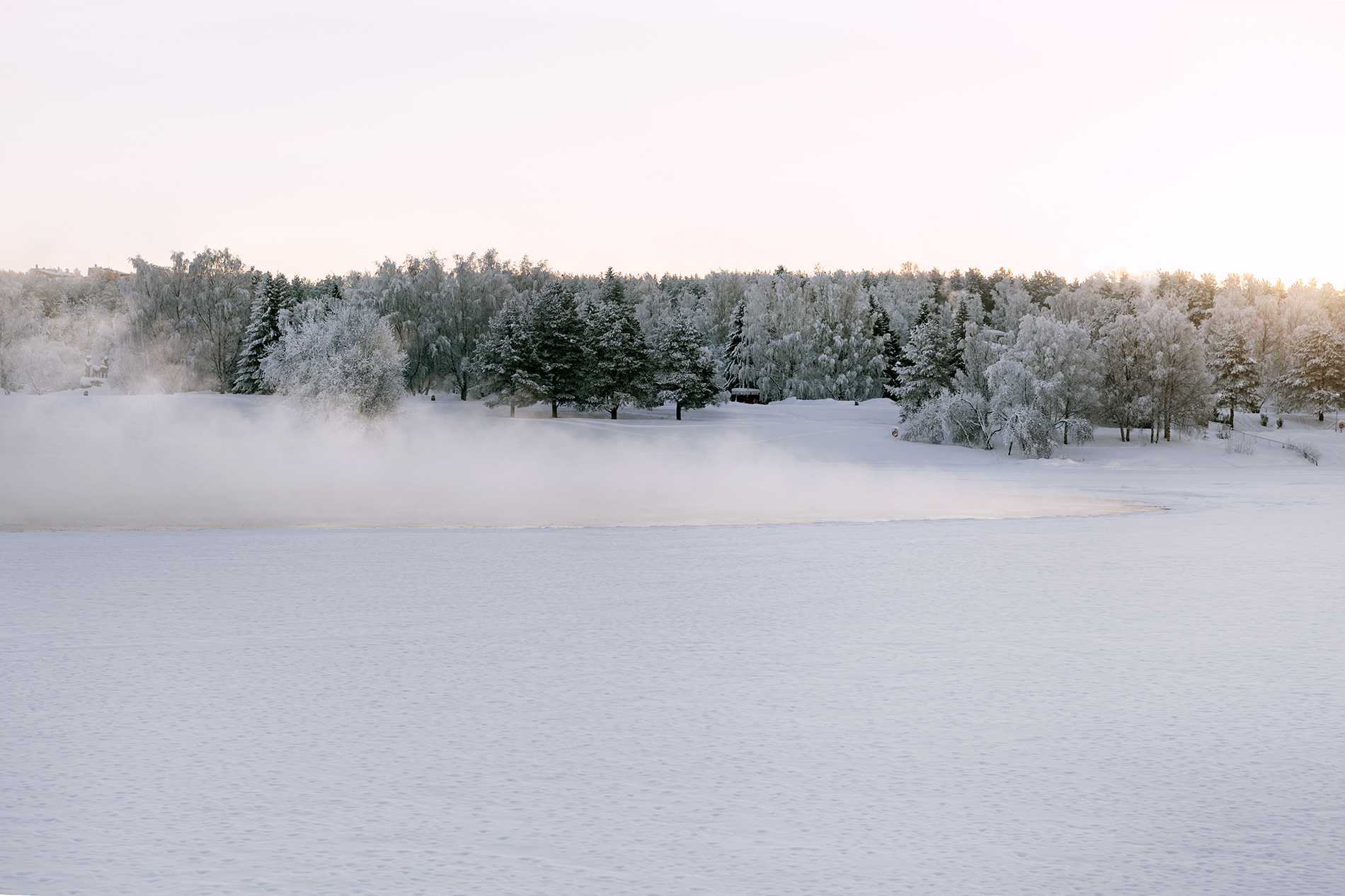 _MG_4472.jpg